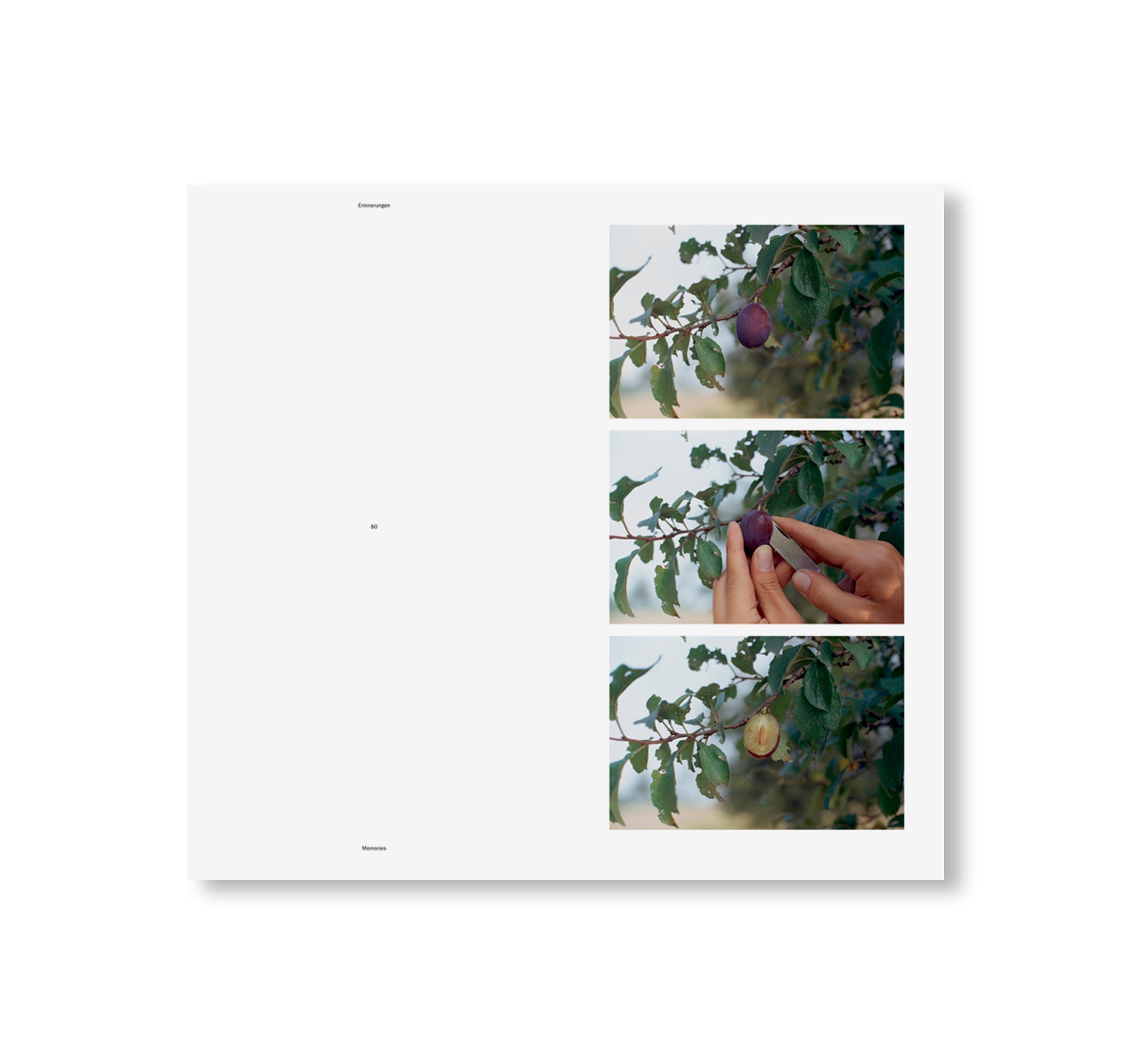 HANDLUNGEN / ACTIONS by Helmut Schweizer