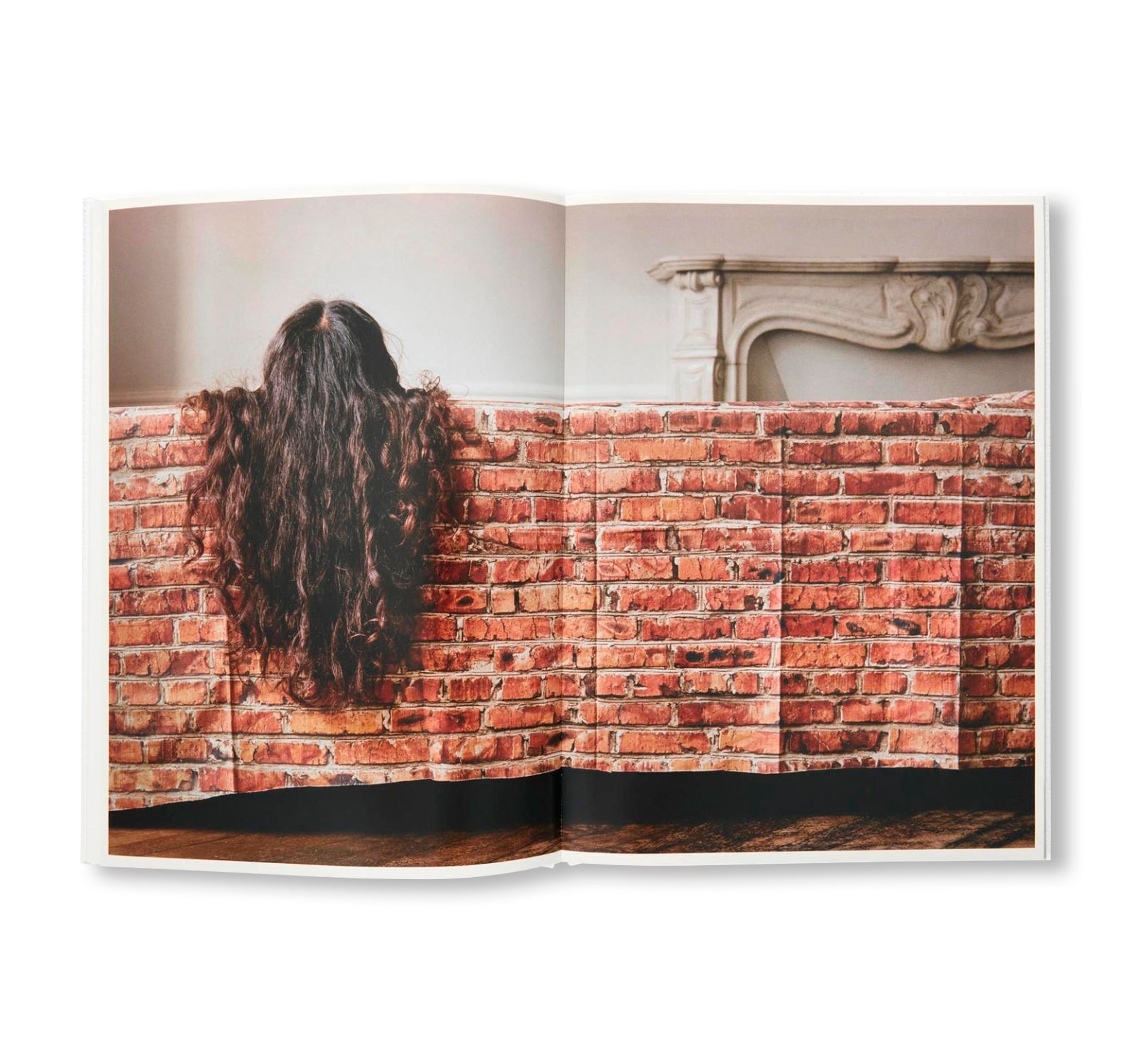 GABORITRONALDHAMILTON by Anthea Hamilton, Delphine Gaborit, Lewis Ronald