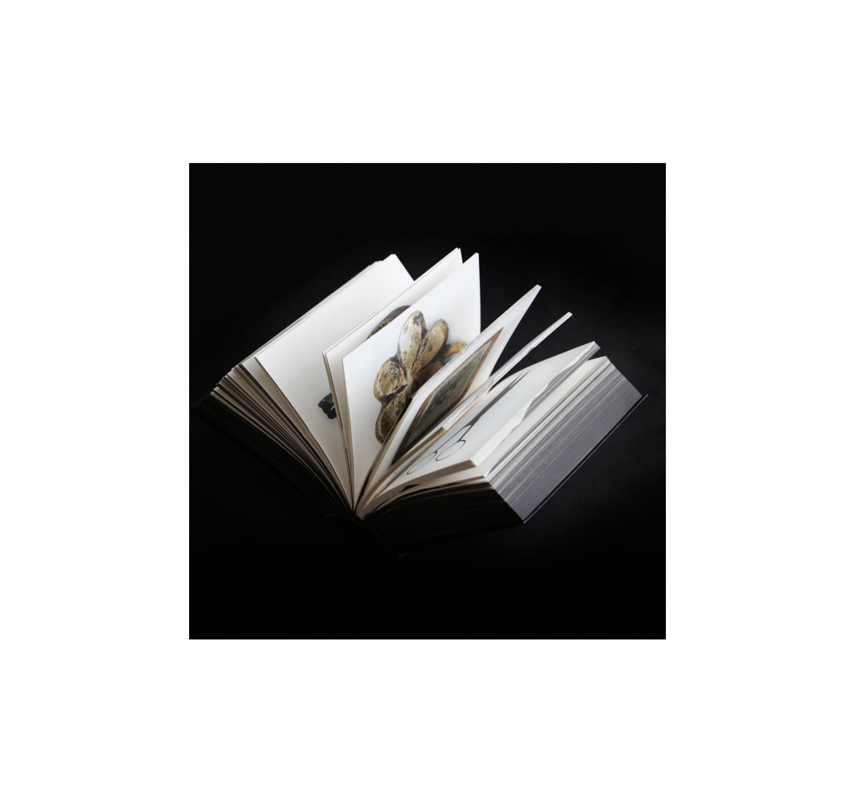 ONDER / UNDER AMSTERDAM by Irma Boom, Frederik Pesch