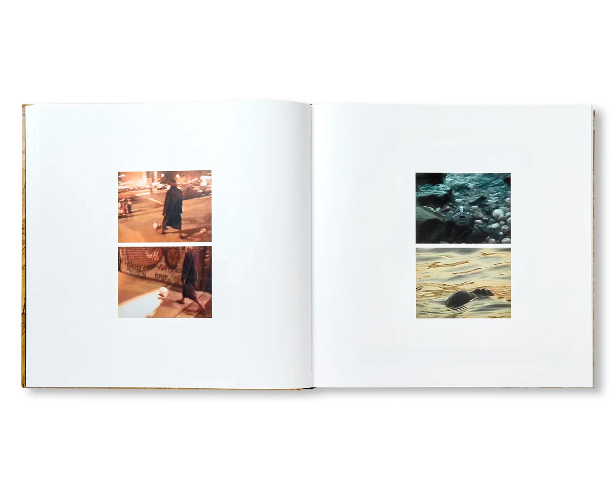 DAVID HAMMONS by David Hammons (HAUSER & WIRTH)