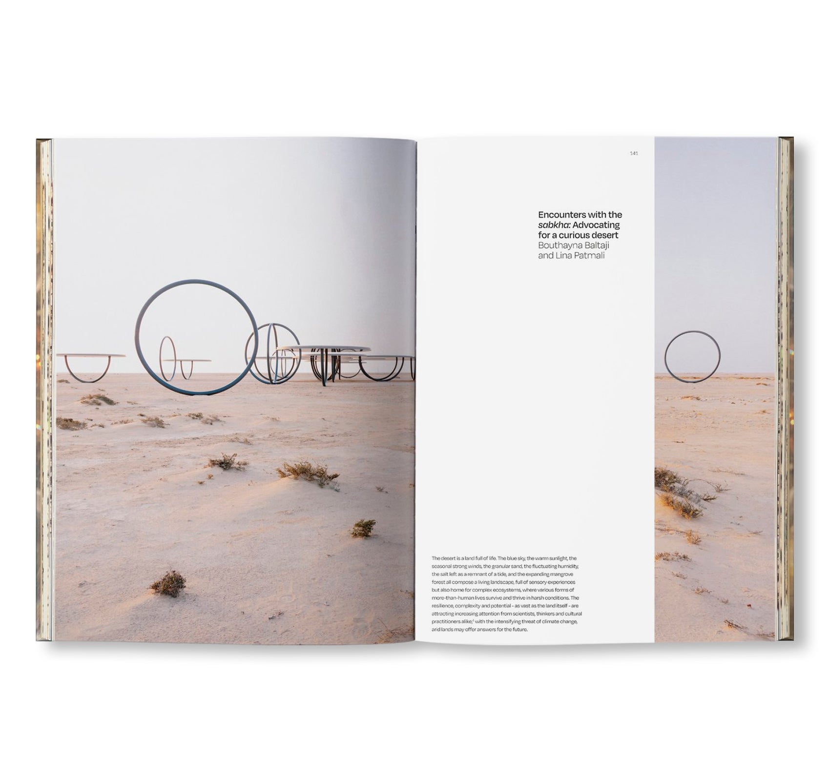 THE CURIOUS DESERT by Olafur Eliasson
