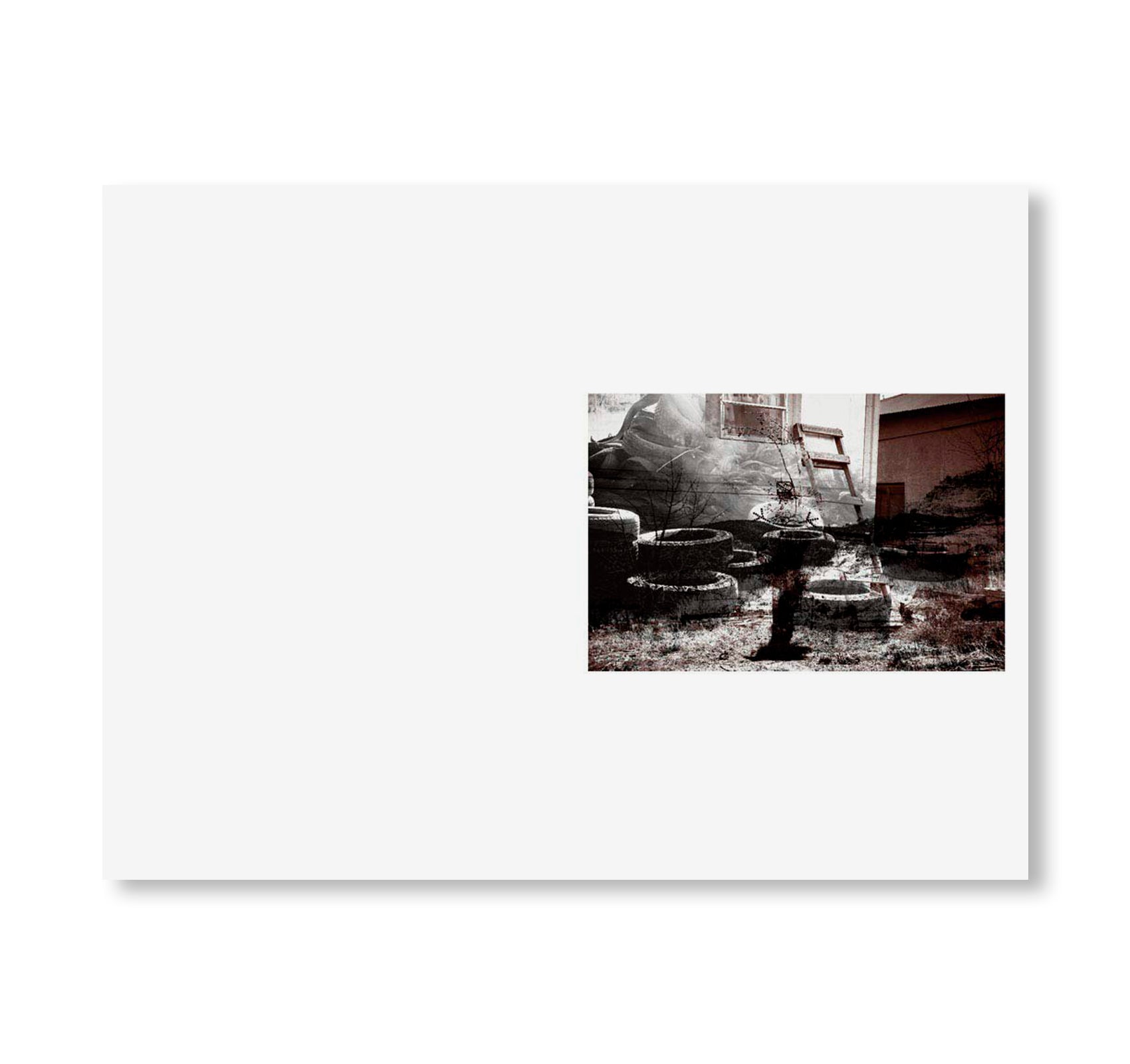 SWAMP by Christopher Wool [SIGNED]