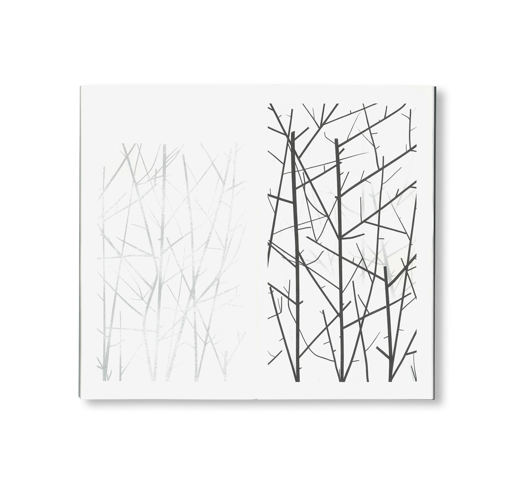 WINTER DRAWINGS by Peter Liversidge