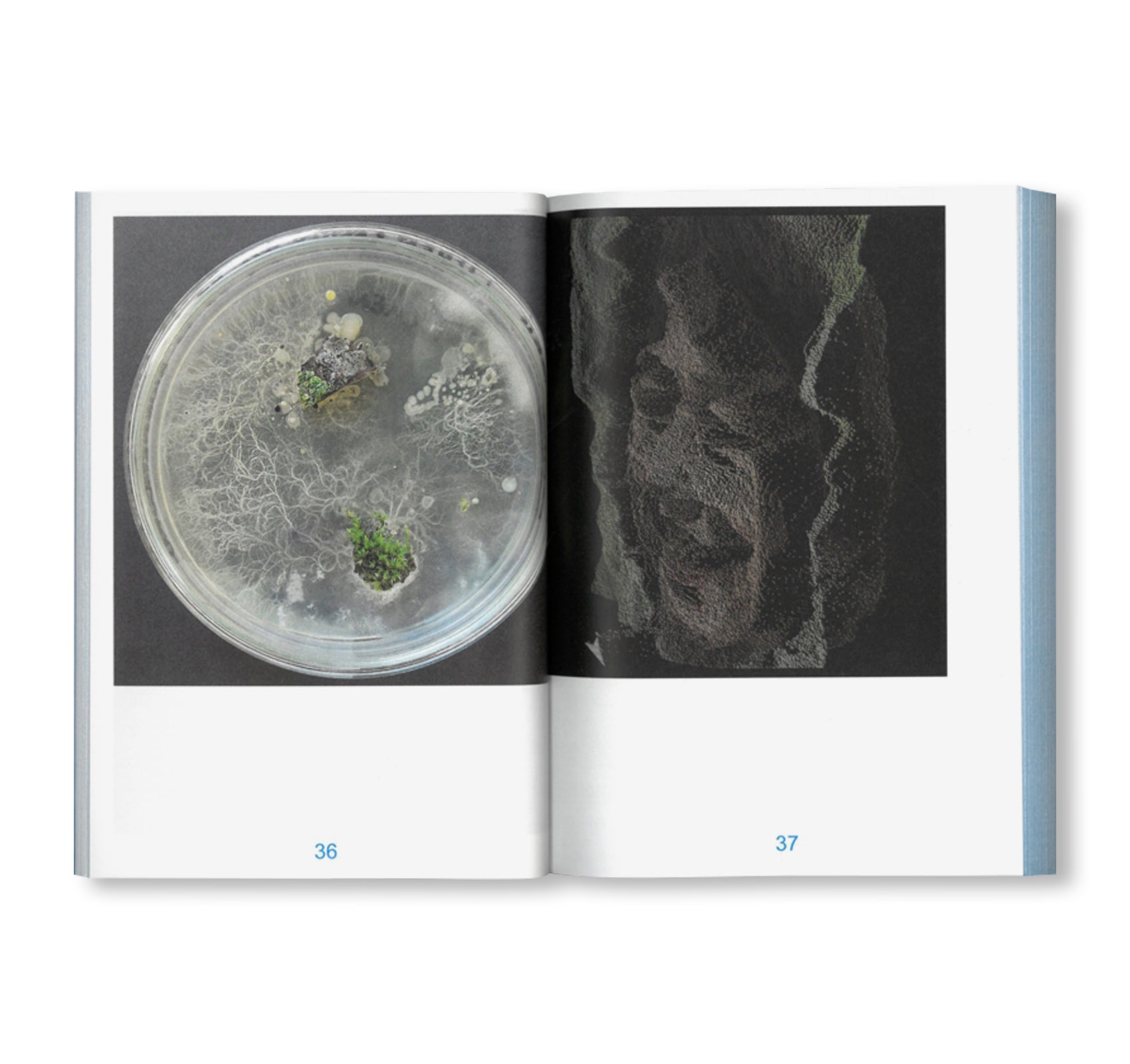PEDAGOGIES OF MACHINE LEARNING - SCHOOLS OF DEPARTURE NO. 4 by Stiftung Bauhaus Dessau