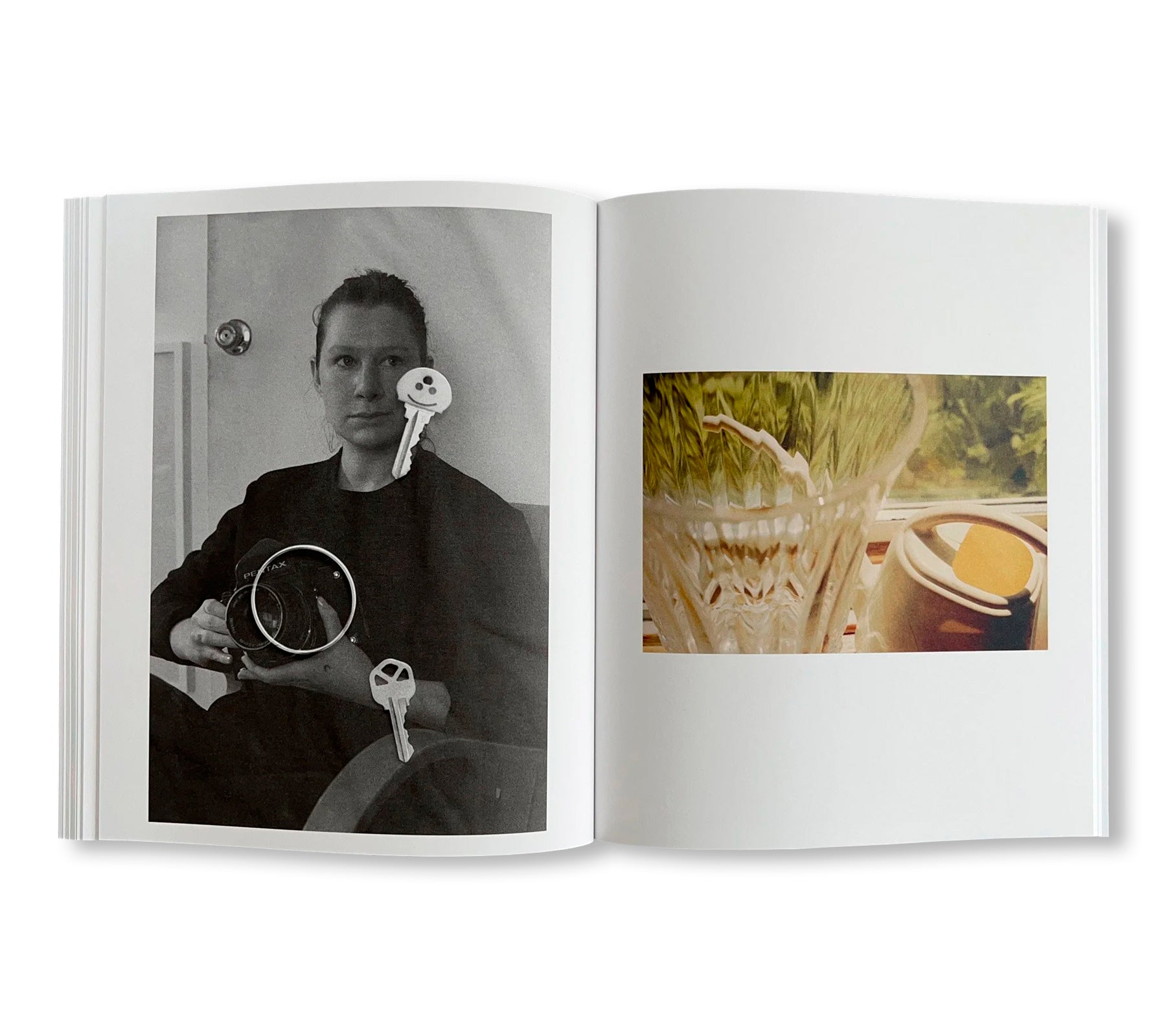 GATES TO THE GARDEN by Adam Kremer