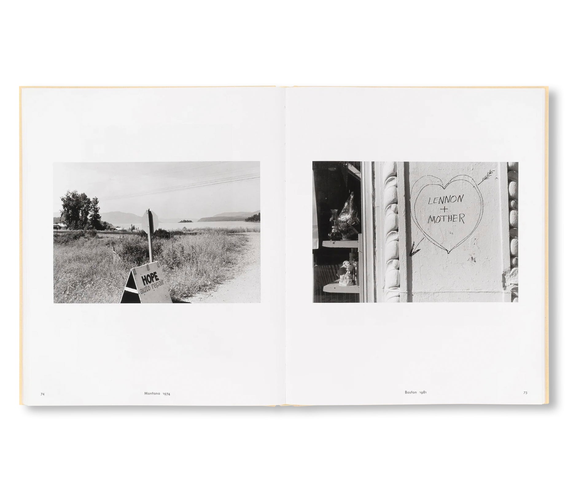 LIFE STILL by Lee Friedlander