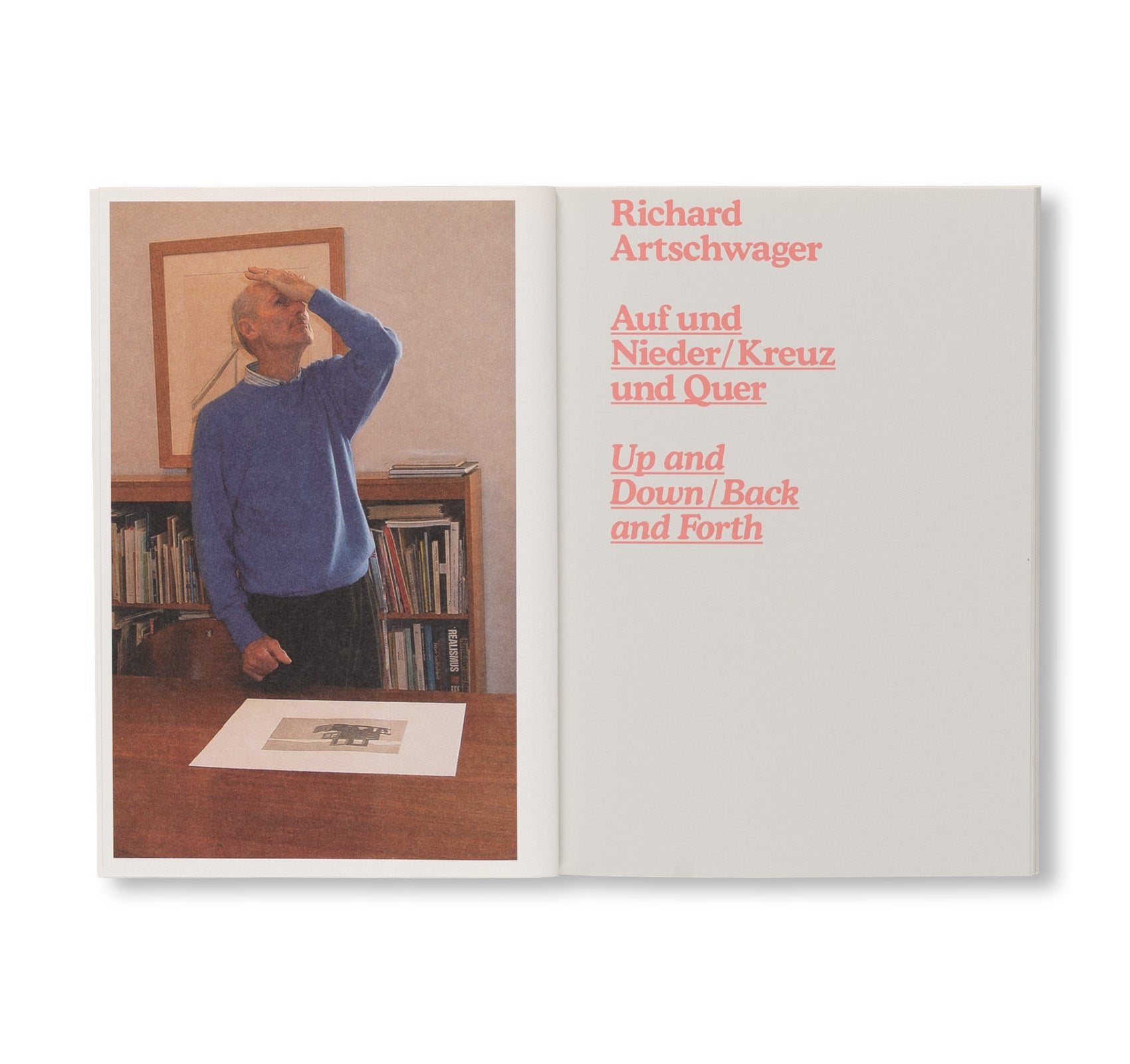 UP AND DOWN / BACK AND FORTH by Richard Artschwager