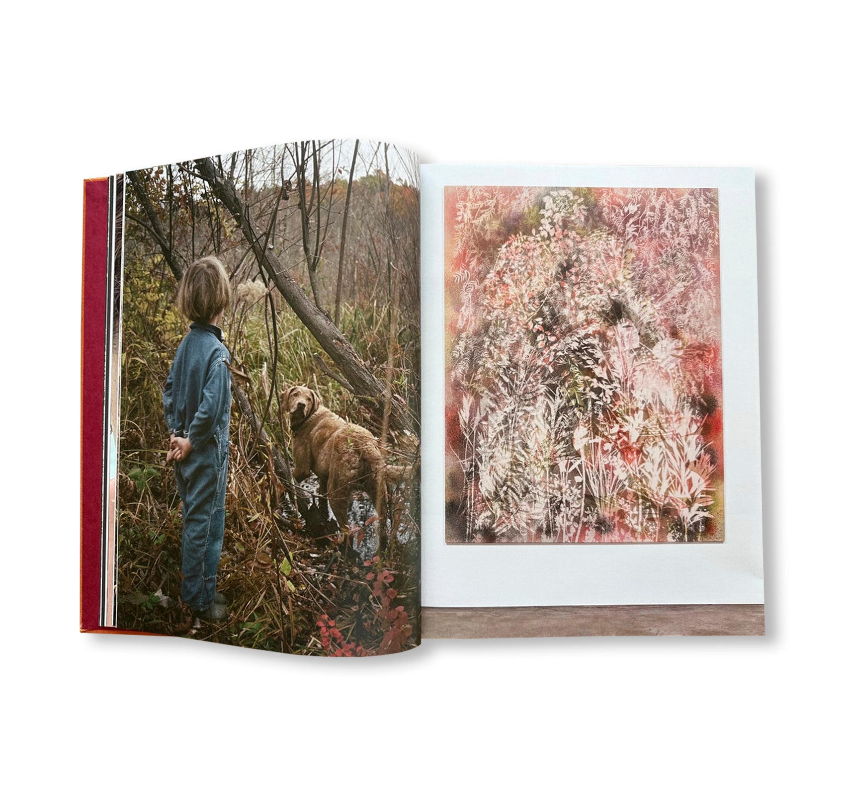 AFTER LIFE by Sam Falls