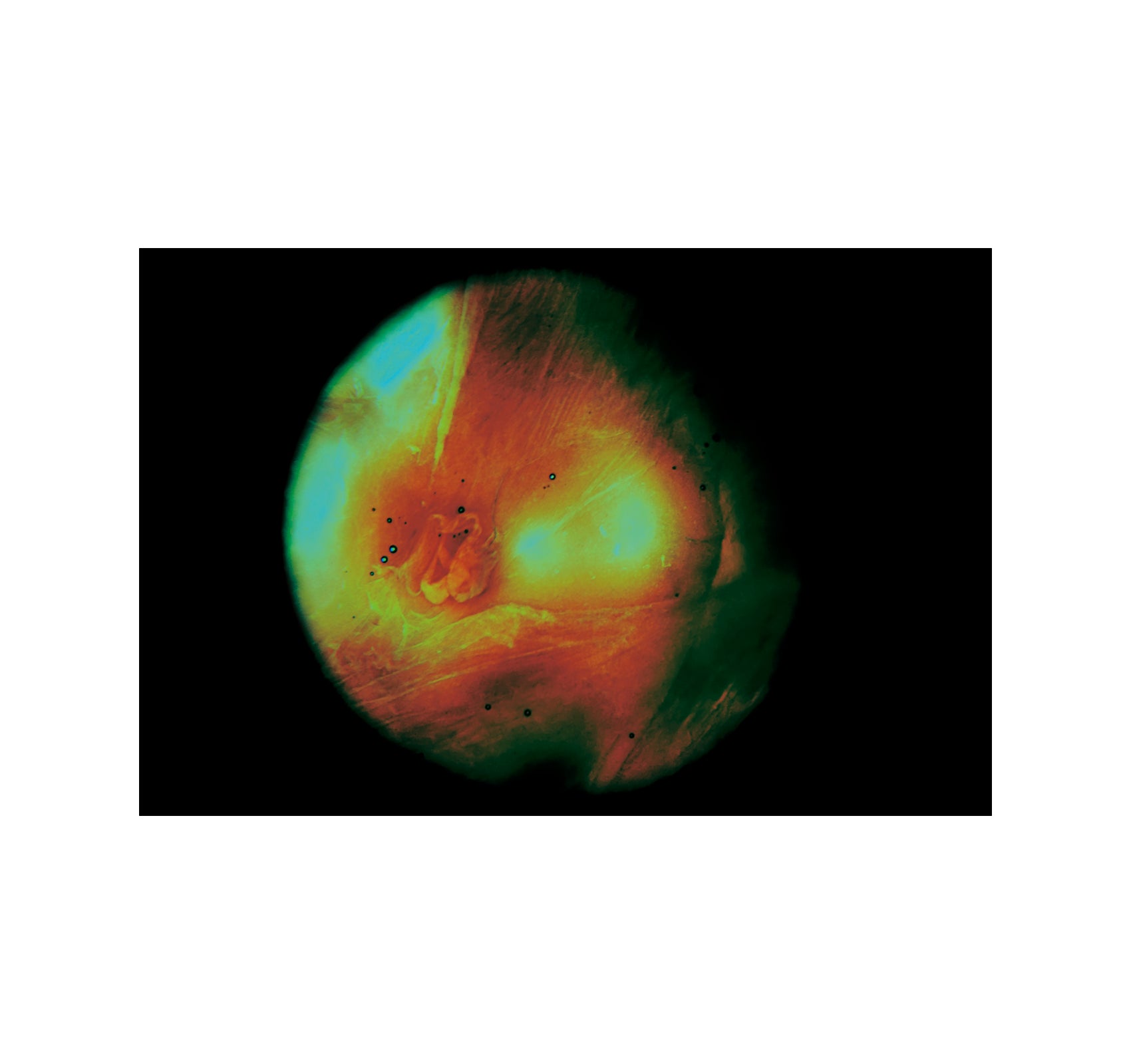 MY BLOODY HAND by Momo Okabe