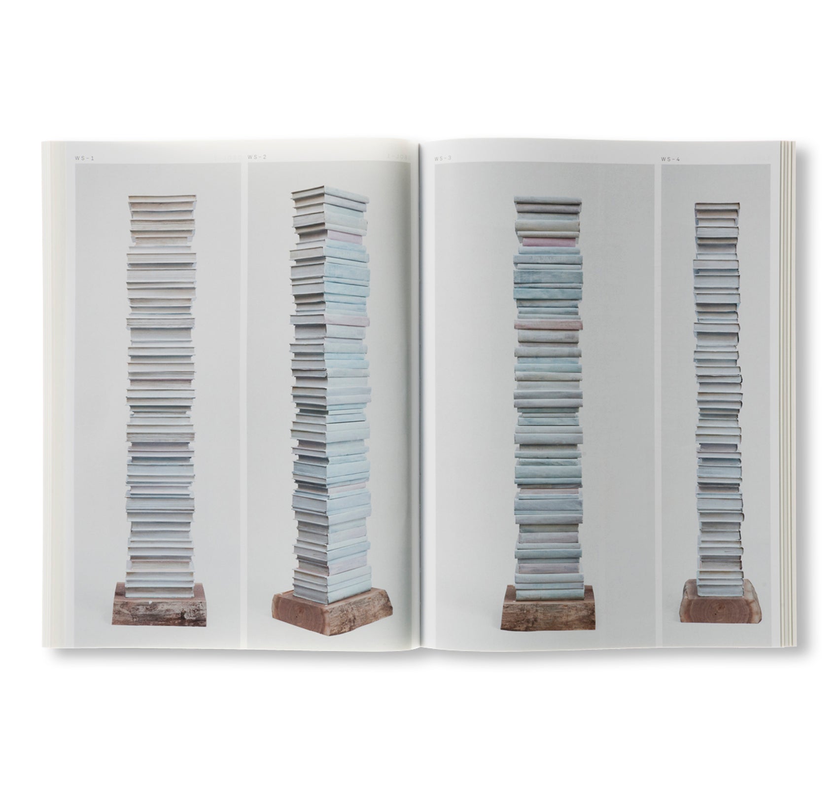 BOOK OF STACKS, STACKS OF BOOKS by Jared Bark