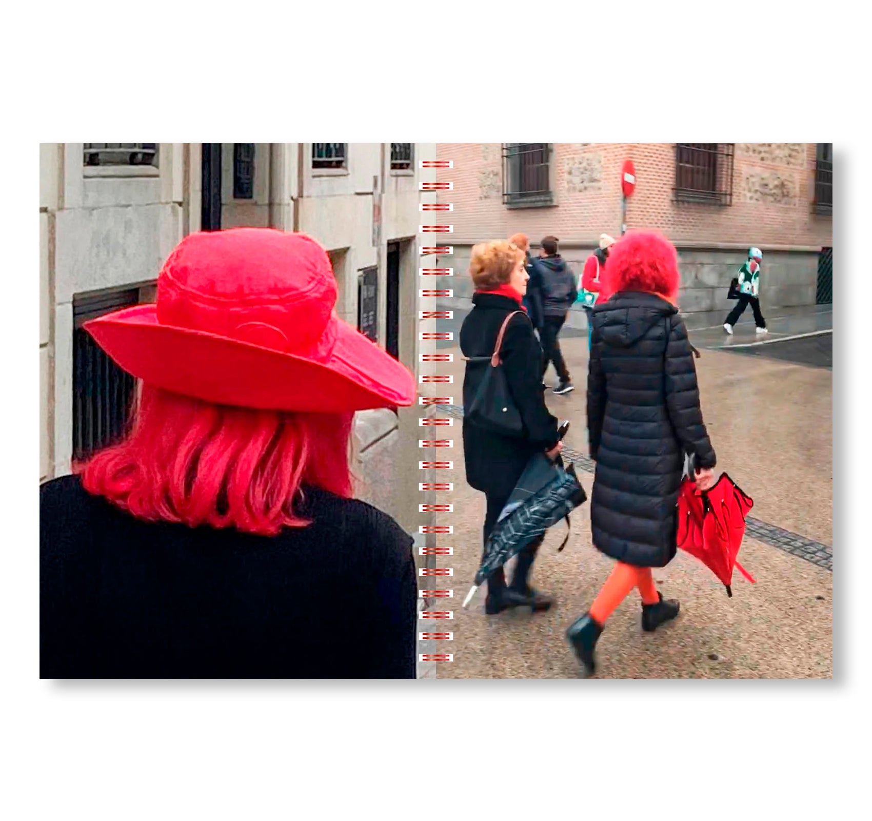 BIRDS OF PARADISE by Ángela Suárez