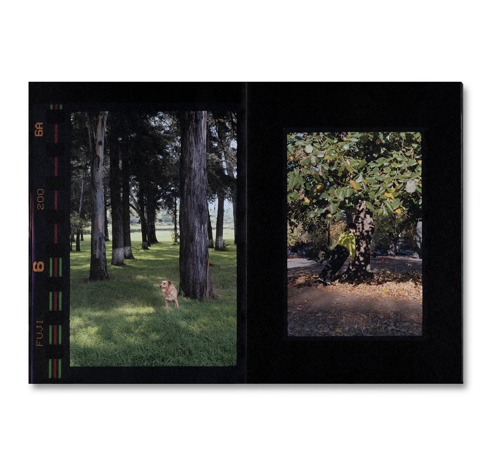 SMALL DEATH by Martha Naranjo Sandoval