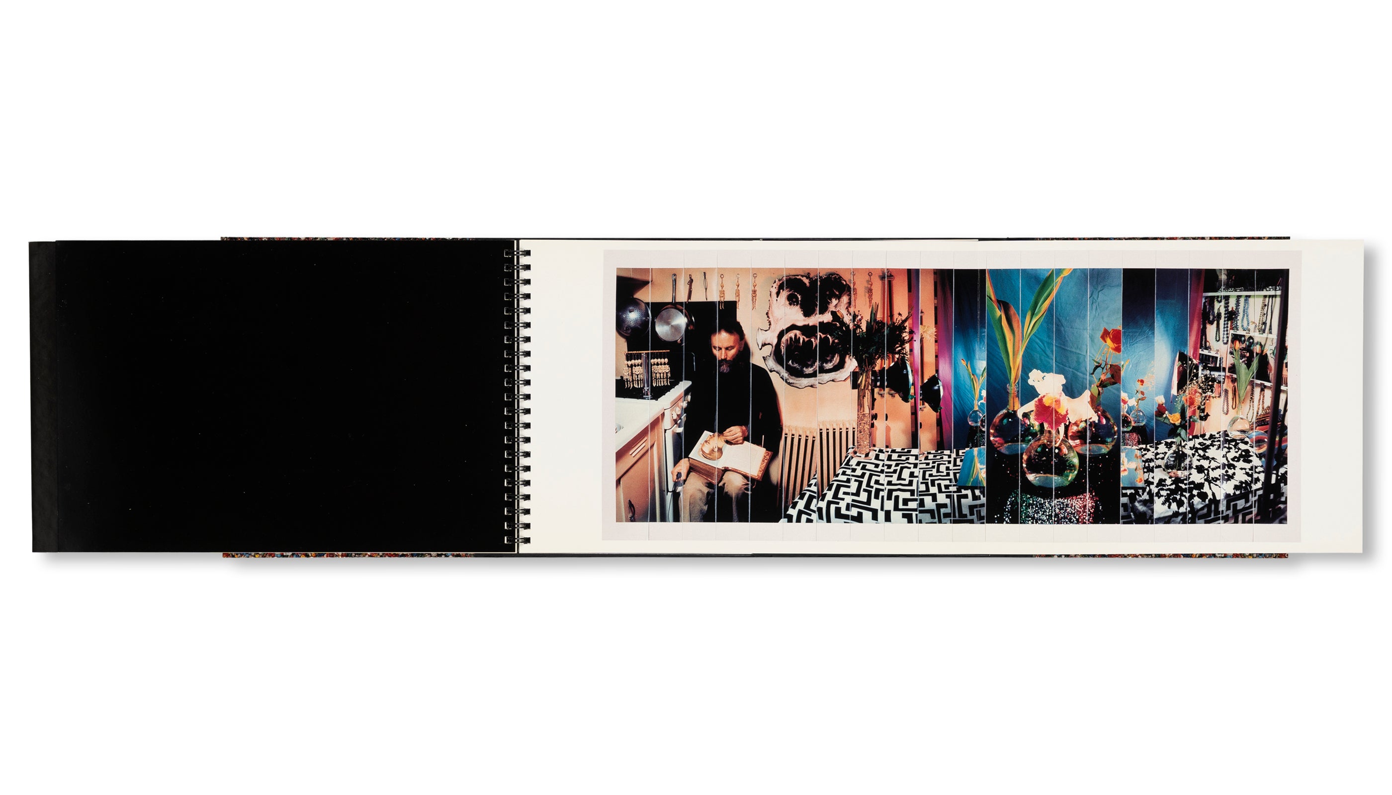 KISS KILL, PERVERTED GEOMETRY, INEDIBLES by Lucas Samaras