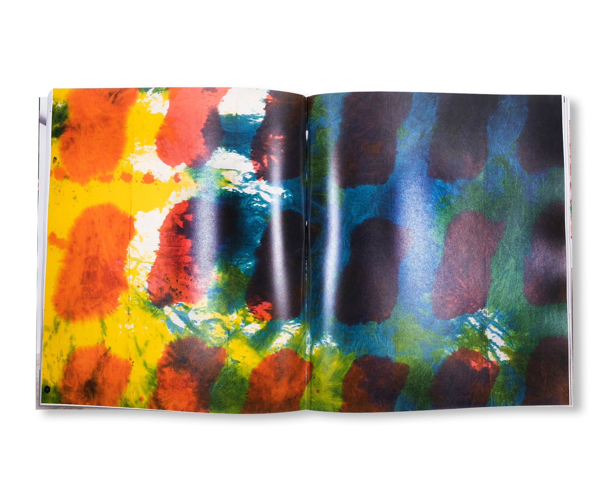 LEE UFAN & CLAUDE VIALLAT by Lee Ufan, Claude Viallat