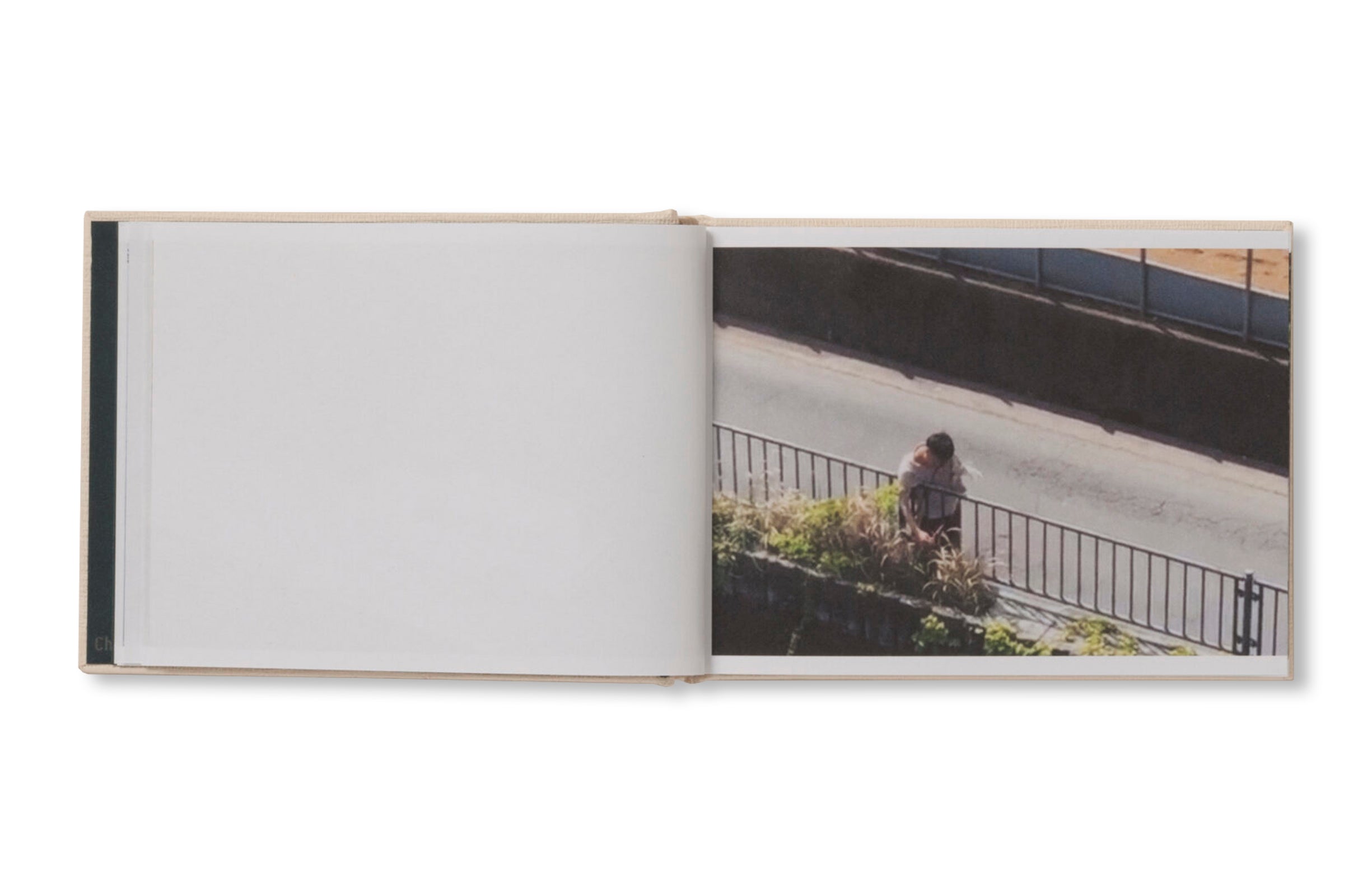 SCREENSHOTS FROM A SERIES OF VIDEOS ABOUT A RICE FIELD AND ITS SURROUNDINGS by Cintia Tortosa Santisteban