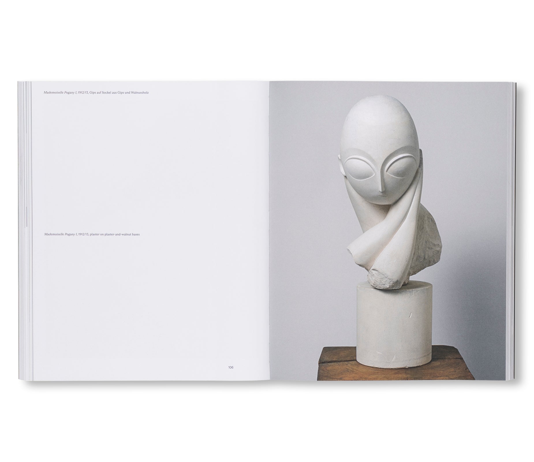 BRANCUSI by Constantin Brancusi