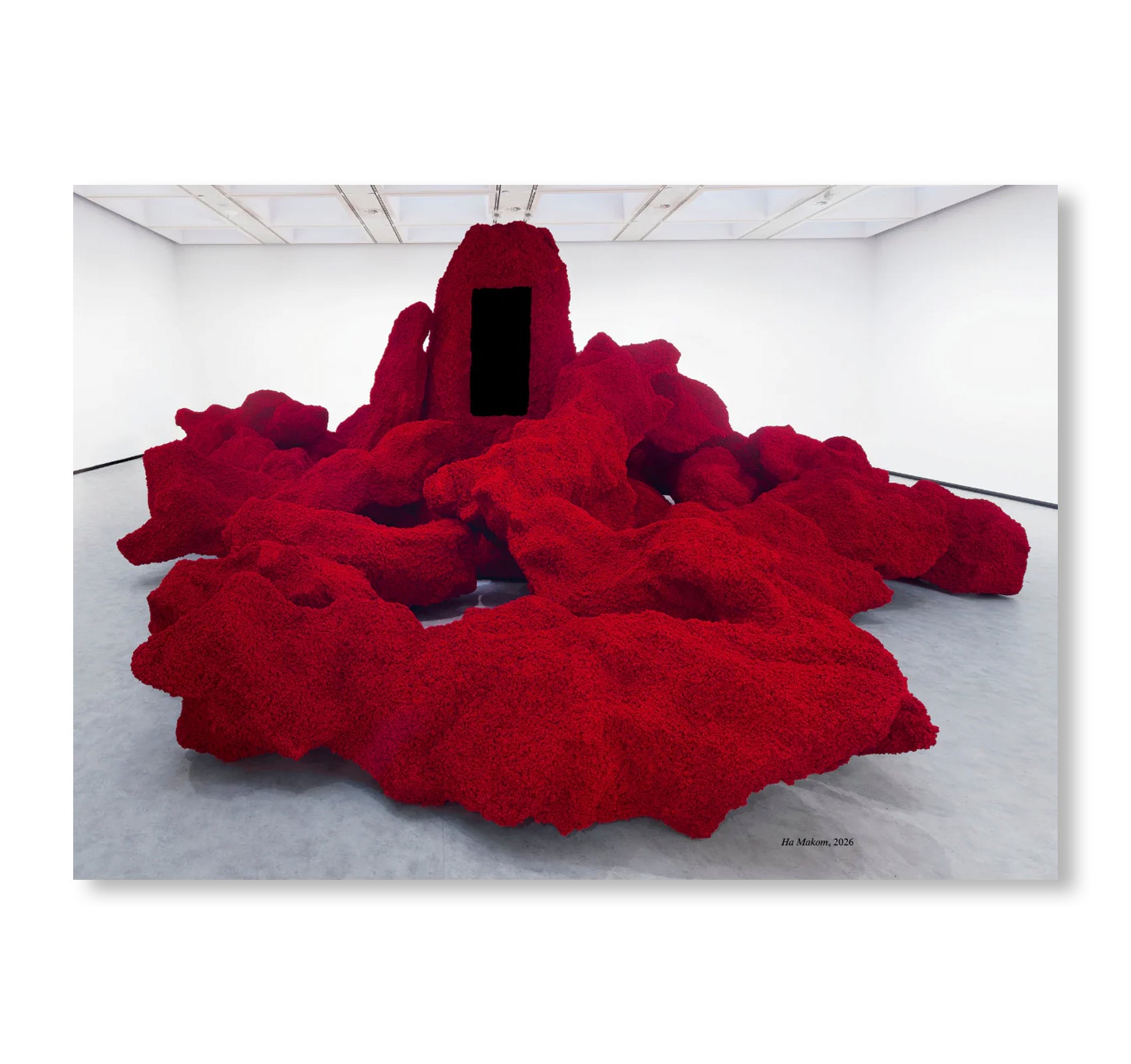 ANISH KAPOOR by Anish Kapoor (HAYWARD GALLERY PUBLISHING)