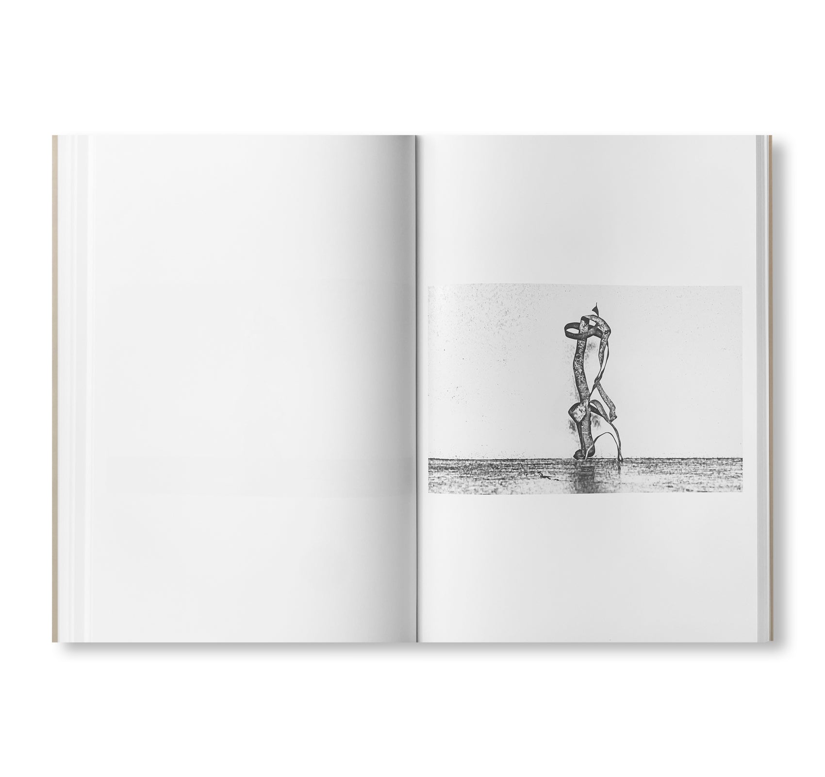 BAD RABBIT by Christopher Wool [SIGNED]