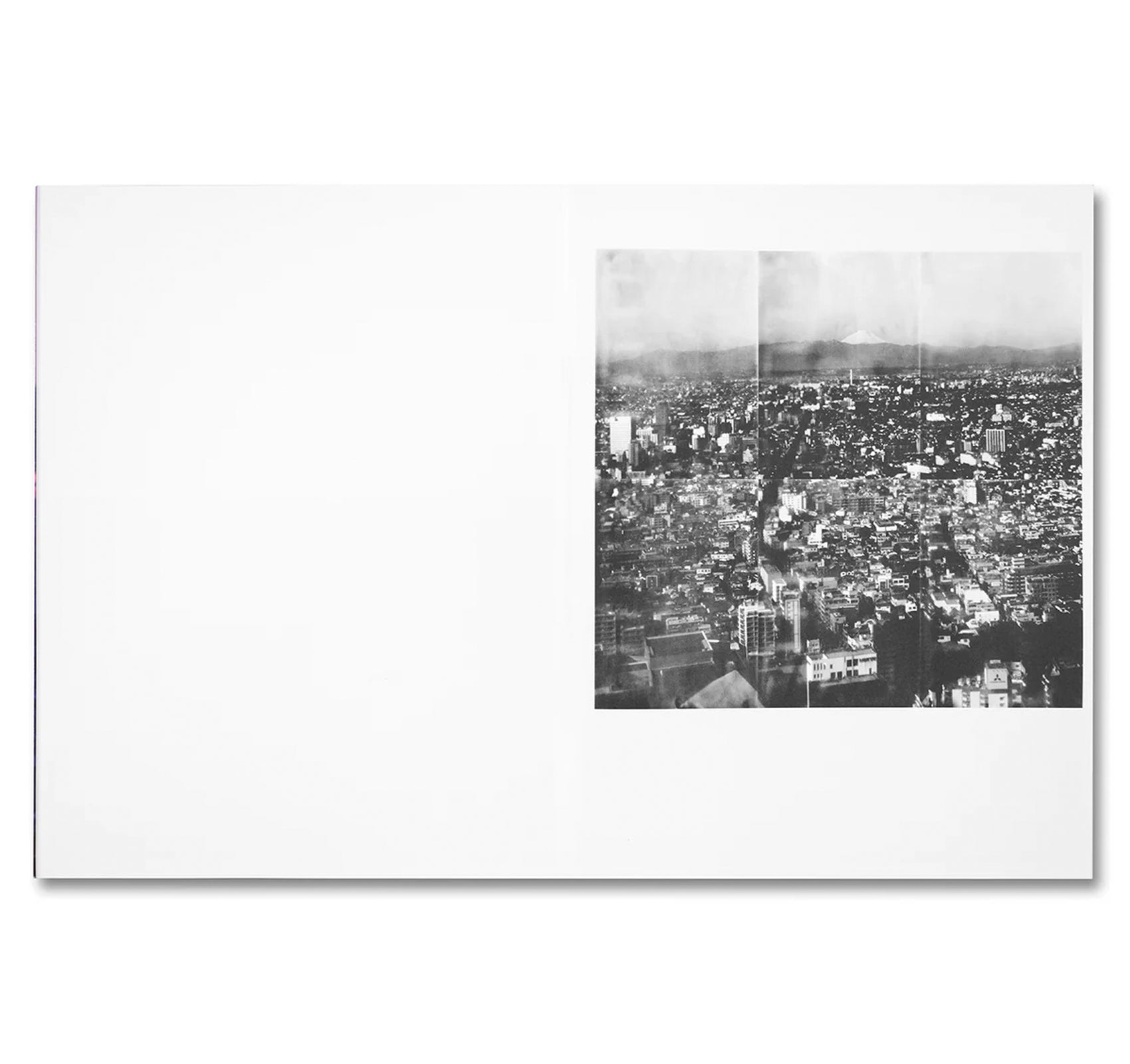 THIRTY-SIX VIEWS OF MOUNT FUJI by Takashi Homma