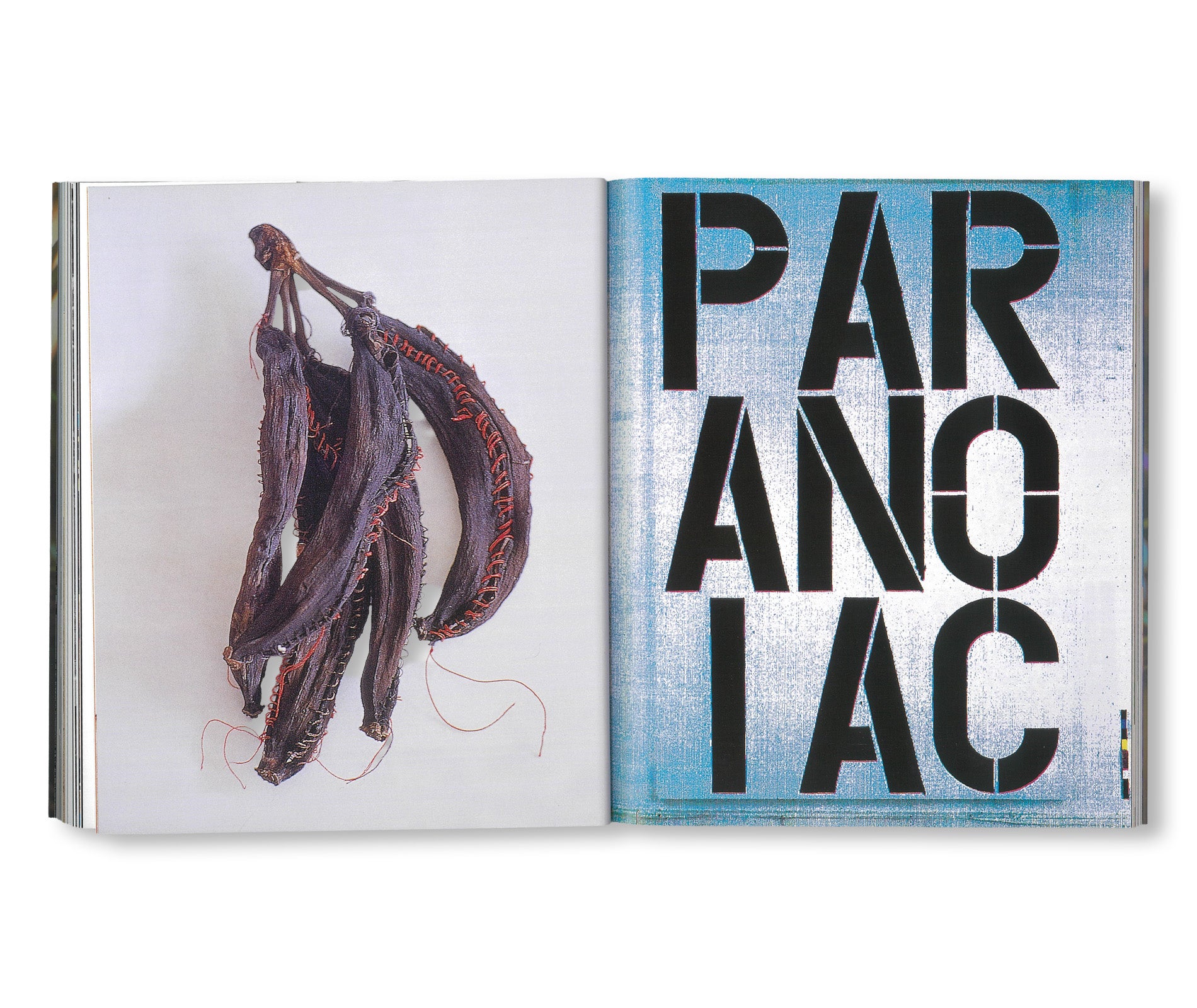 LUPETTO, PILOT ISSUE by Maurizio Cattelan