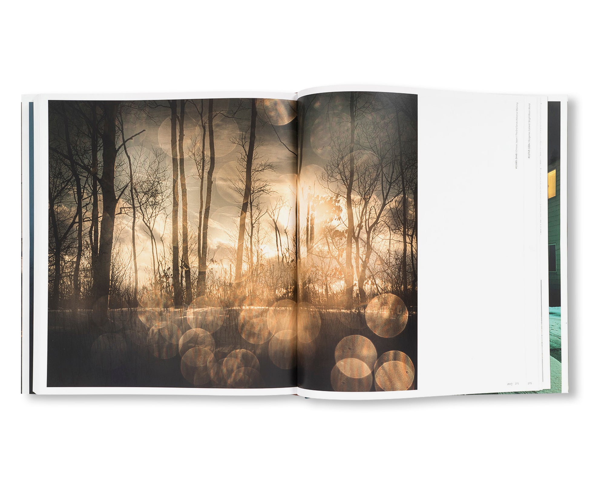 INTIMATE DISTANCE: OVER THIRTY YEARS OF PHOTOGRAPHS, A CHRONOLOGICAL ALBUM  by Todd Hido [REVISED AND EXPANDED EDITION]