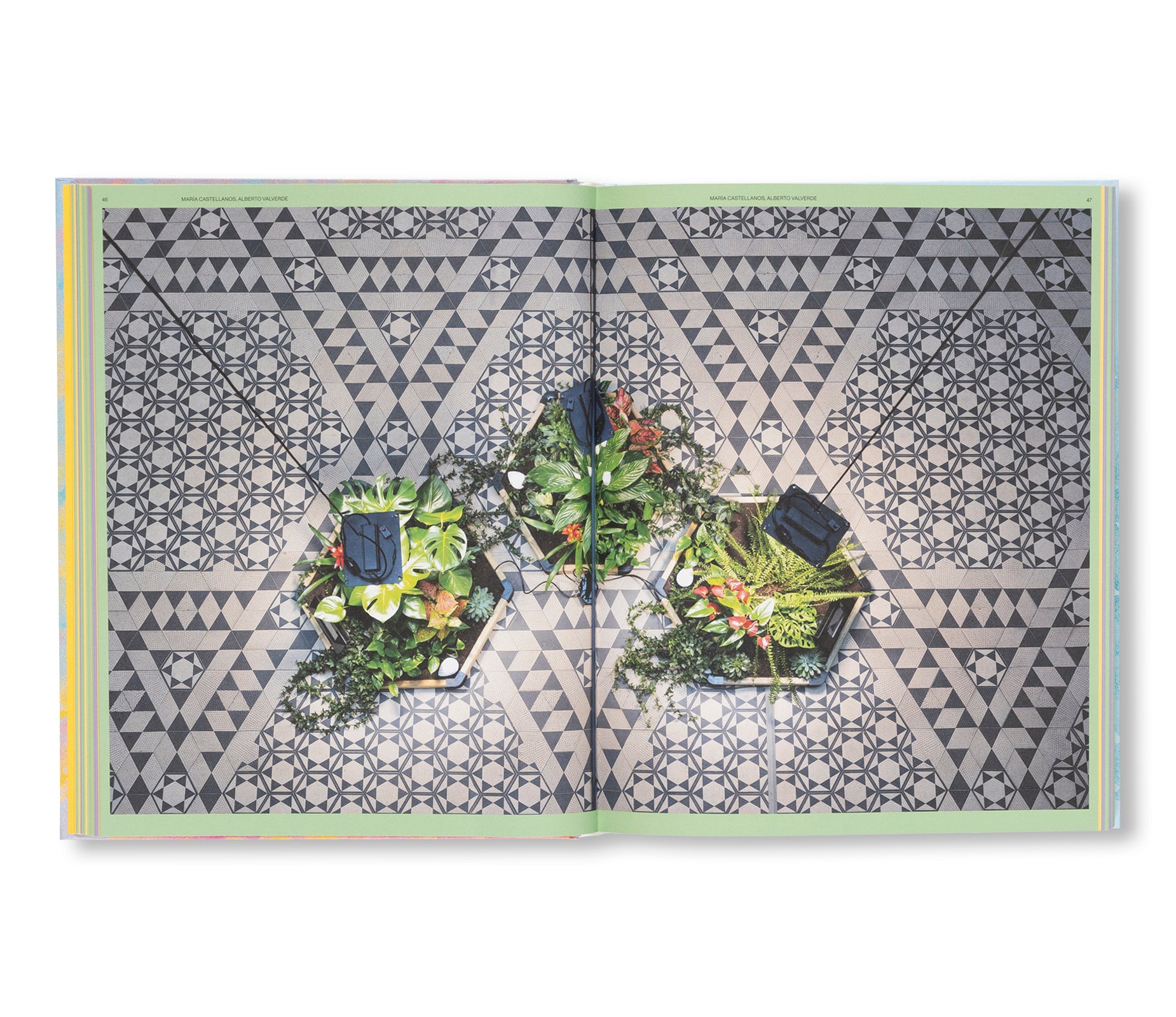 THE SENSES OF PLANTS