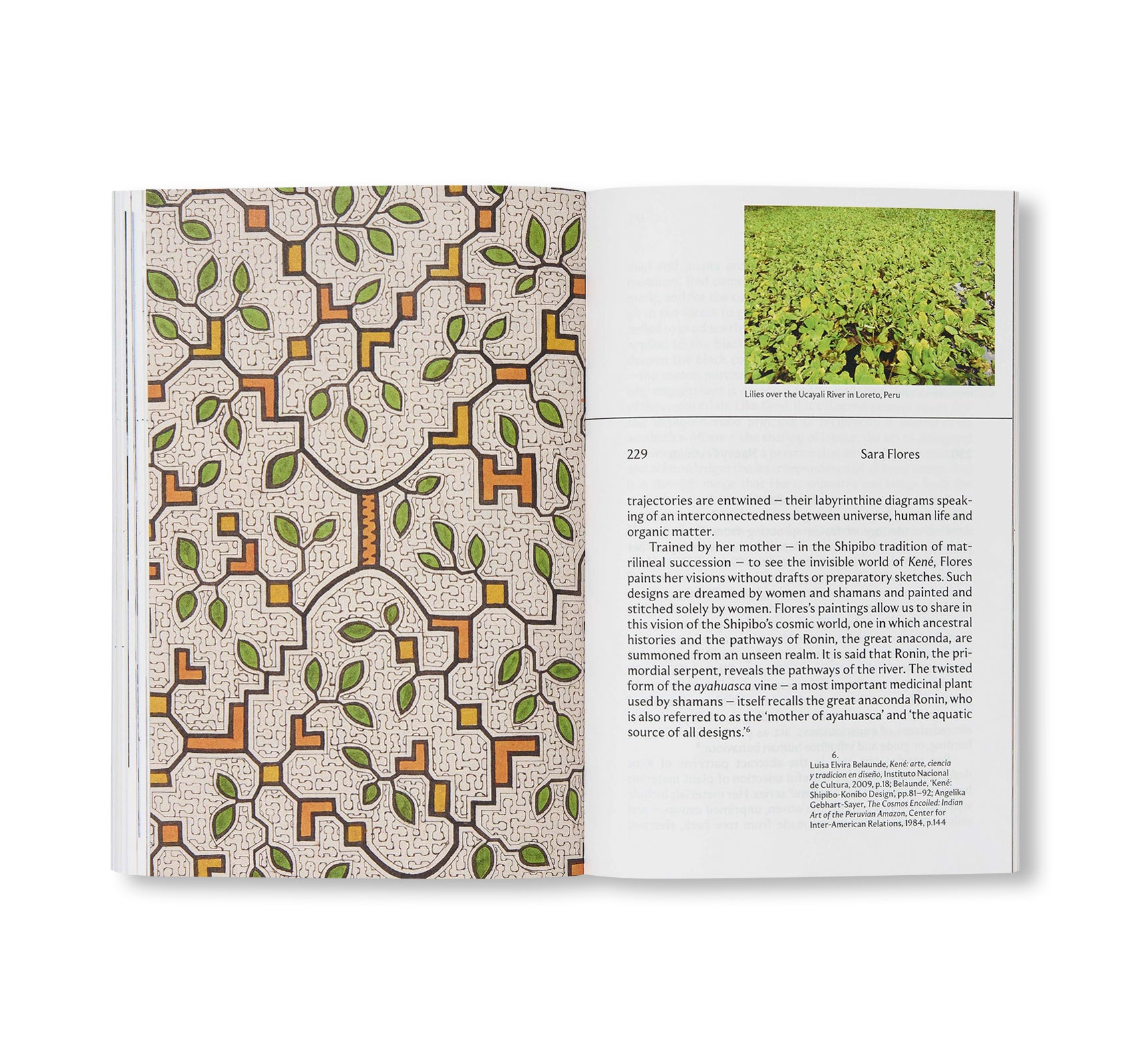 WHITE CUBE COMPANION (2025)