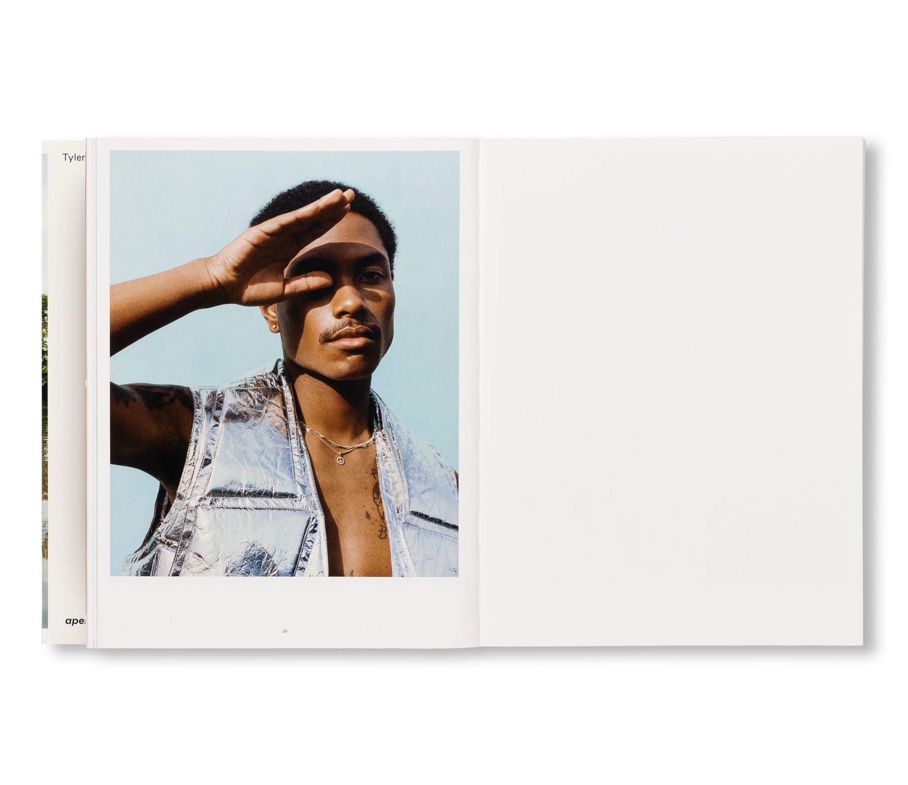 WISH THIS WAS REAL by Tyler Mitchell