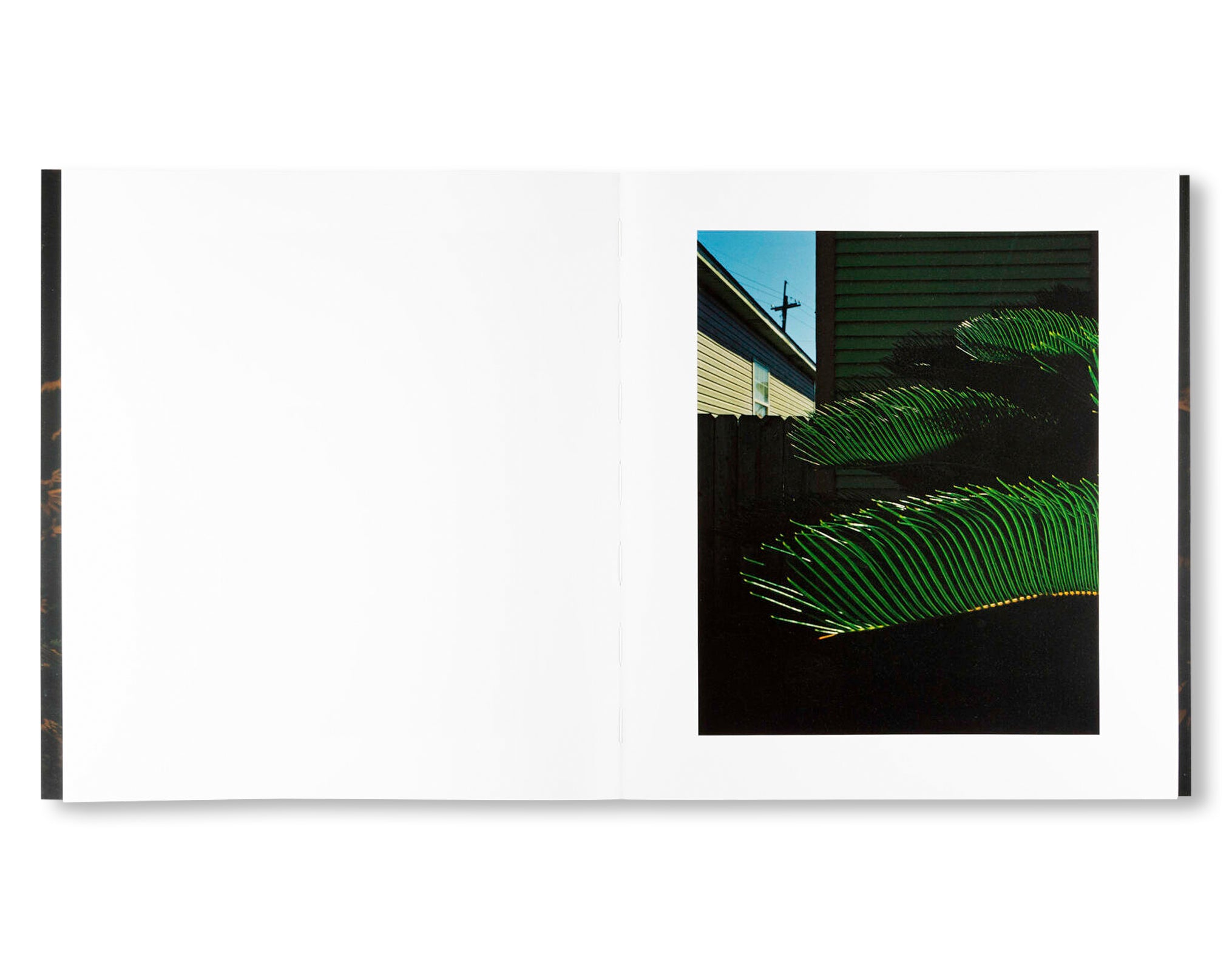 MYSTERY STREET by Vasantha Yogananthan [SIGNED]