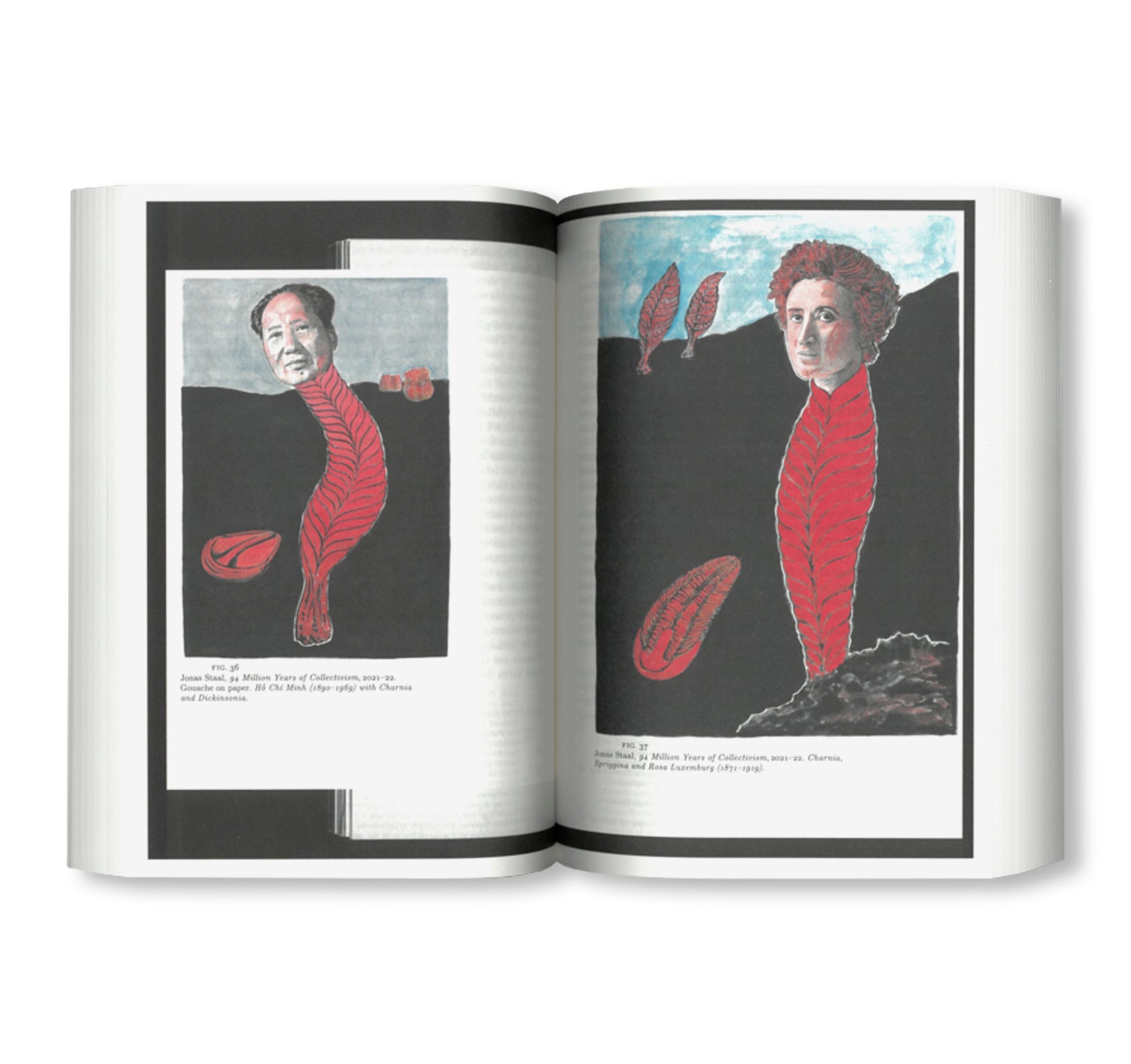 A BIOGRAPHY OF DAPHNE