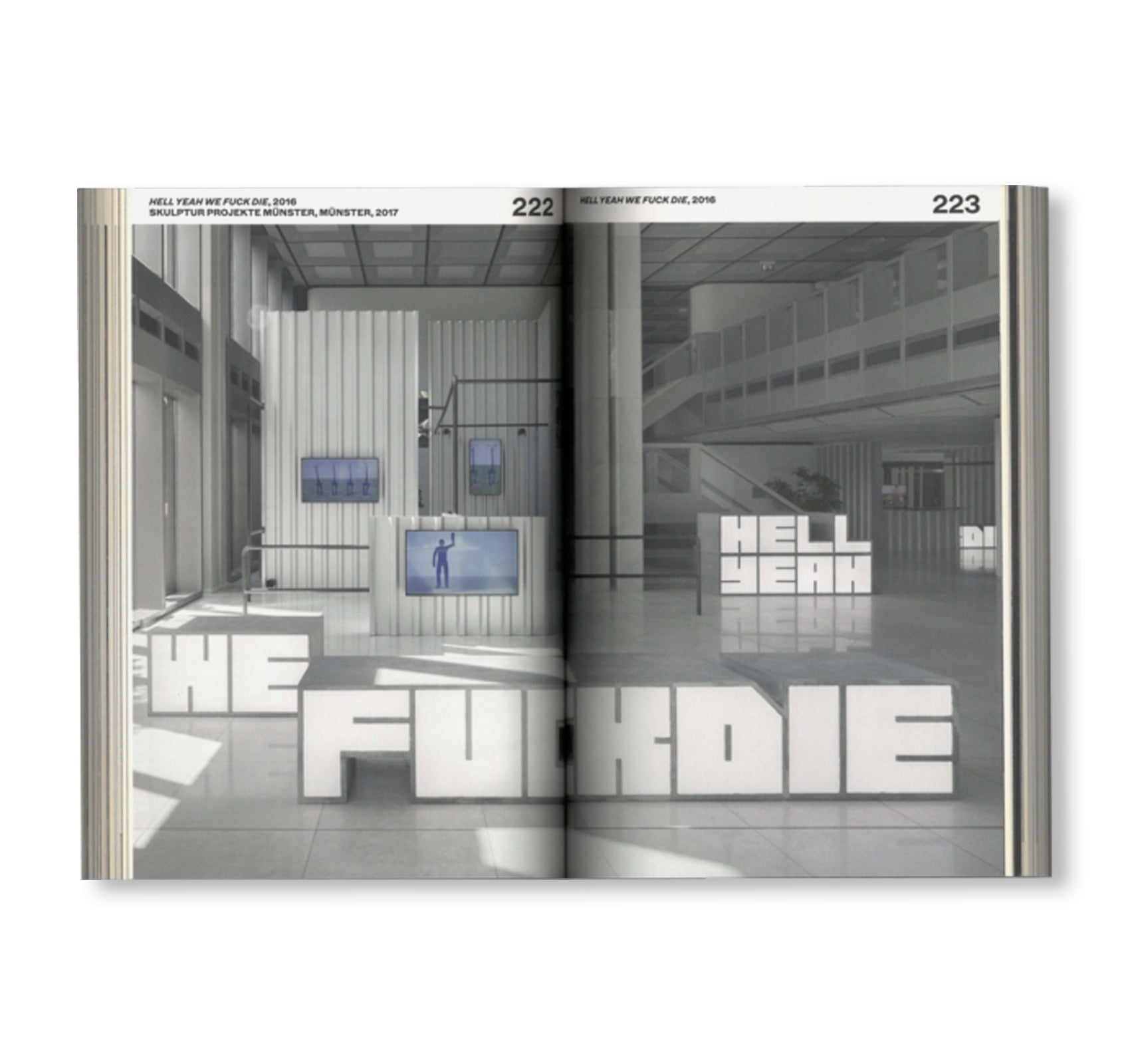 I WILL SURVIVE by Hito Steyerl [ENGLISH / FRENCH EDITION]