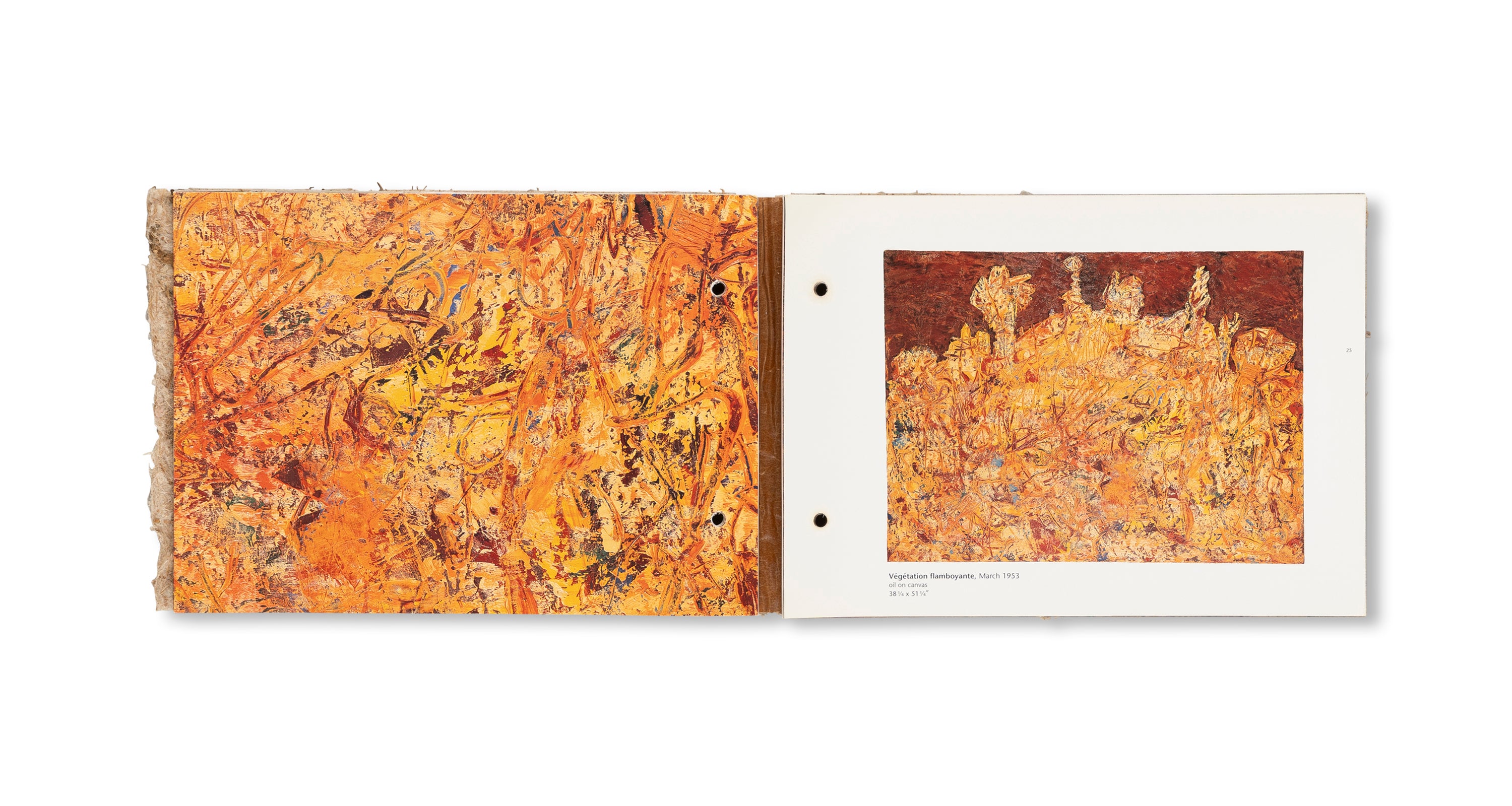 THE RADIANT EARTH by Jean Dubuffet [COVER B]