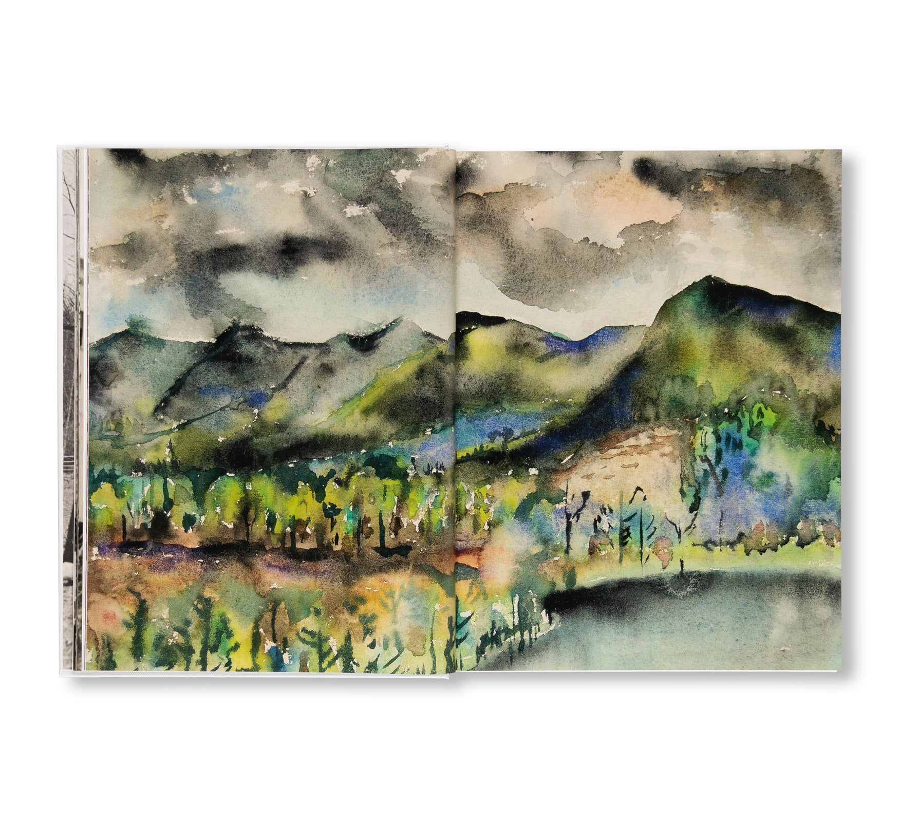 LEAP BEFORE YOU LOOK by Helen Molesworth