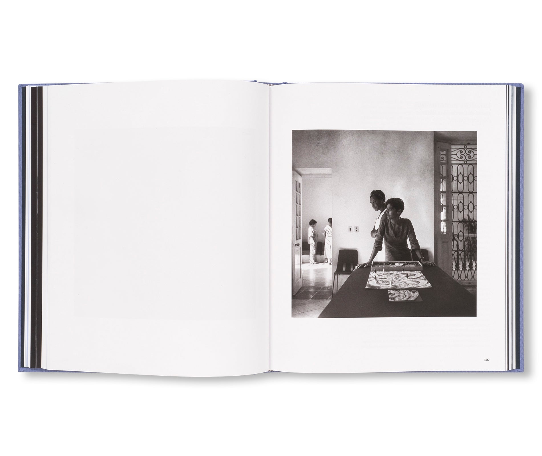 THE HEART OF THE MATTER by Carrie Mae Weems