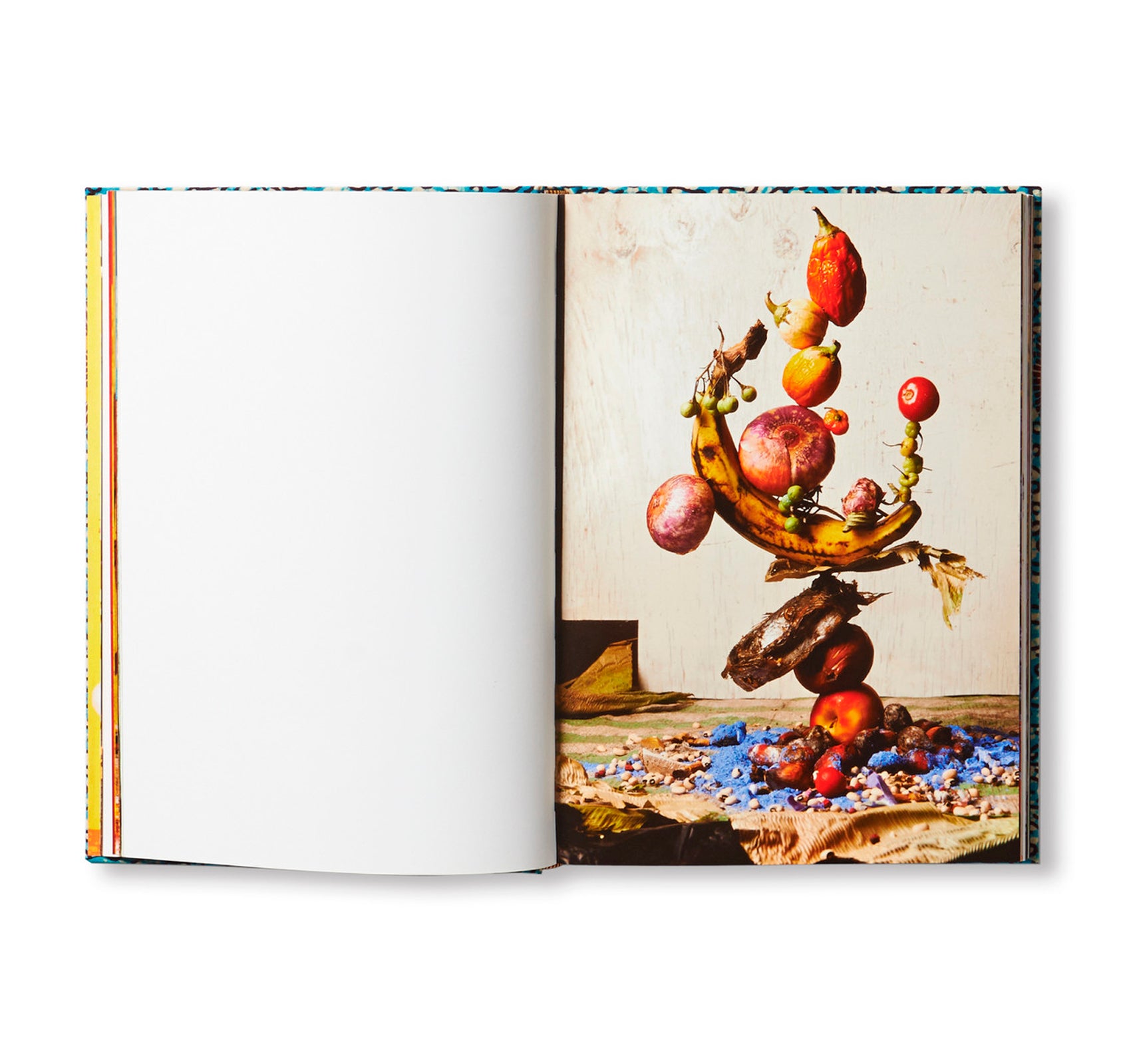 DALSTON ANATOMY by Lorenzo Vitturi [SECOND EDITION]