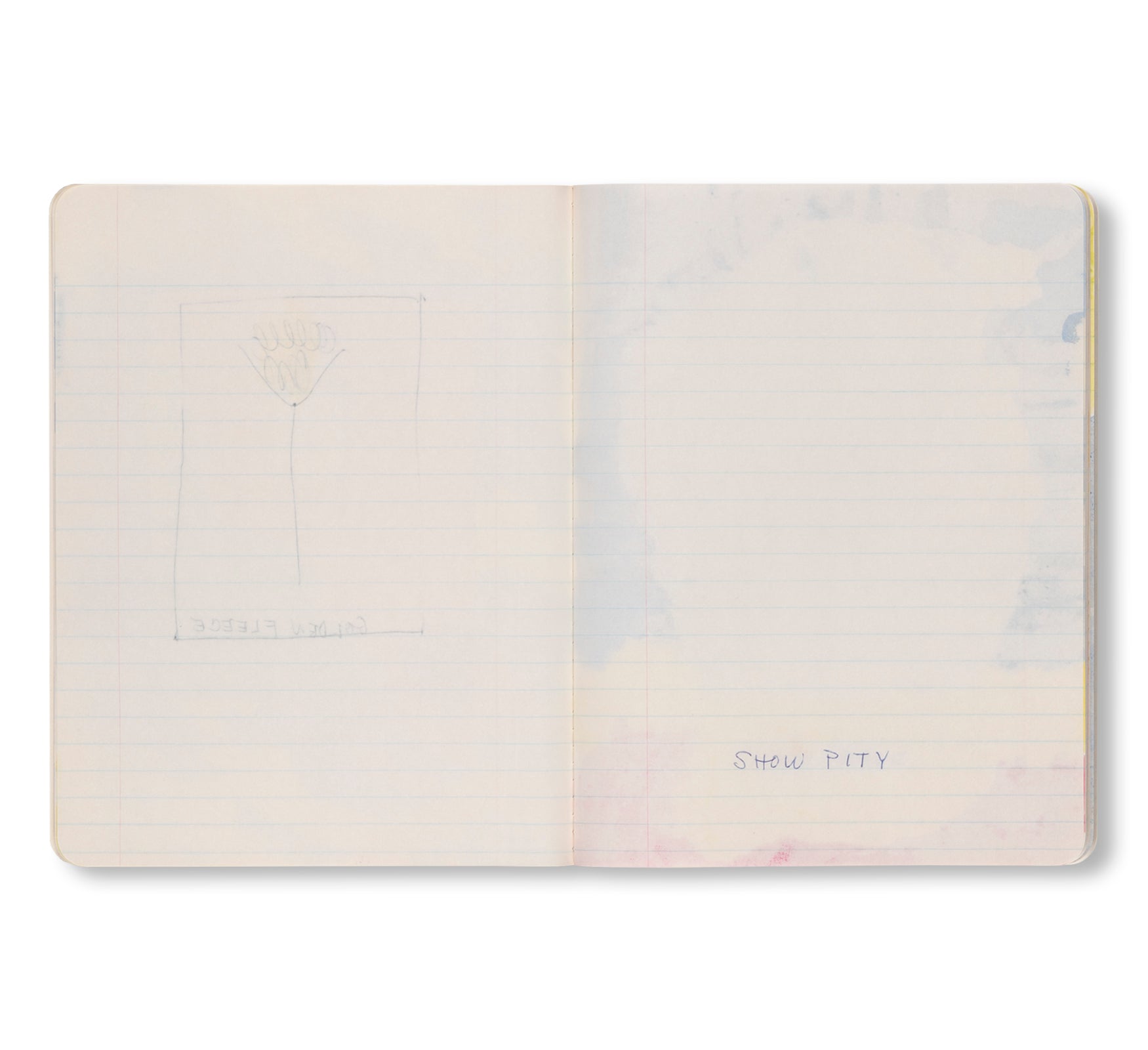 PAUL THEK: NOTEBOOK #41, 1977 by Paul Thek