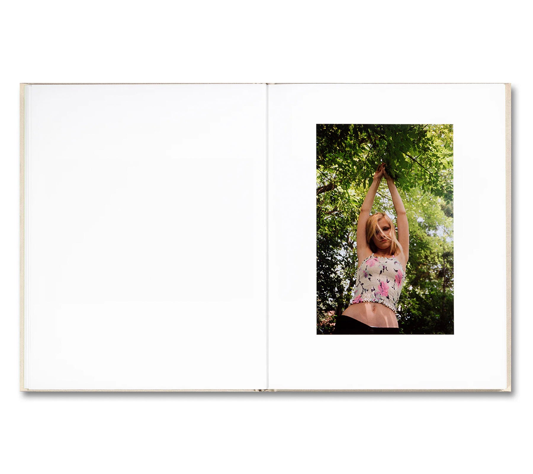 THE VIRGIN SUICIDES by Sofia Coppola