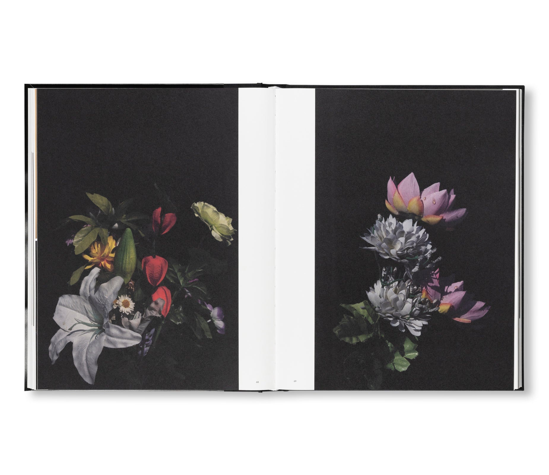 SAKIKO NOMURA: TENDER IS THE NIGHT by Sakiko Nomura