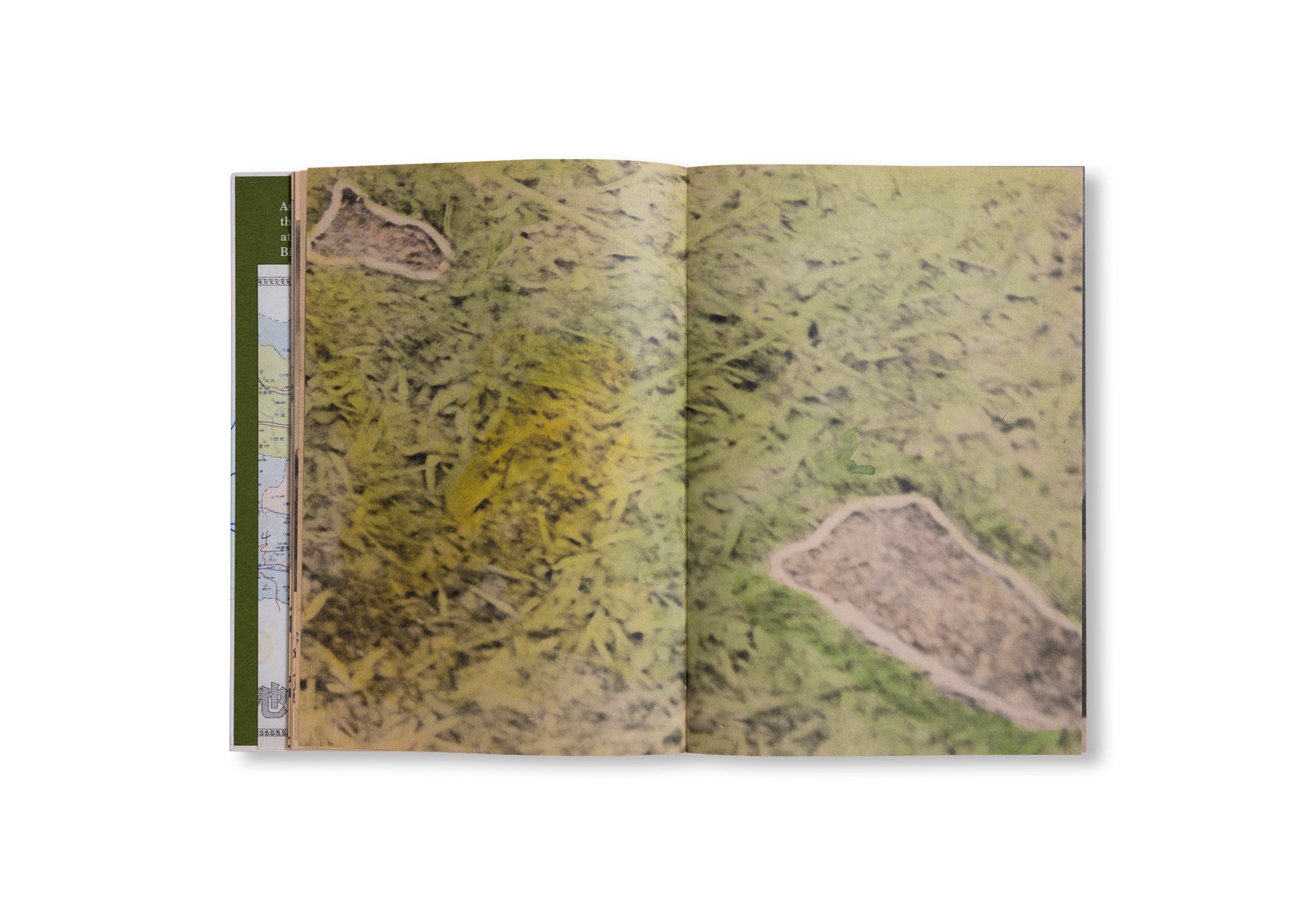 WILDMAN FEVER! by Ruben Lundgren