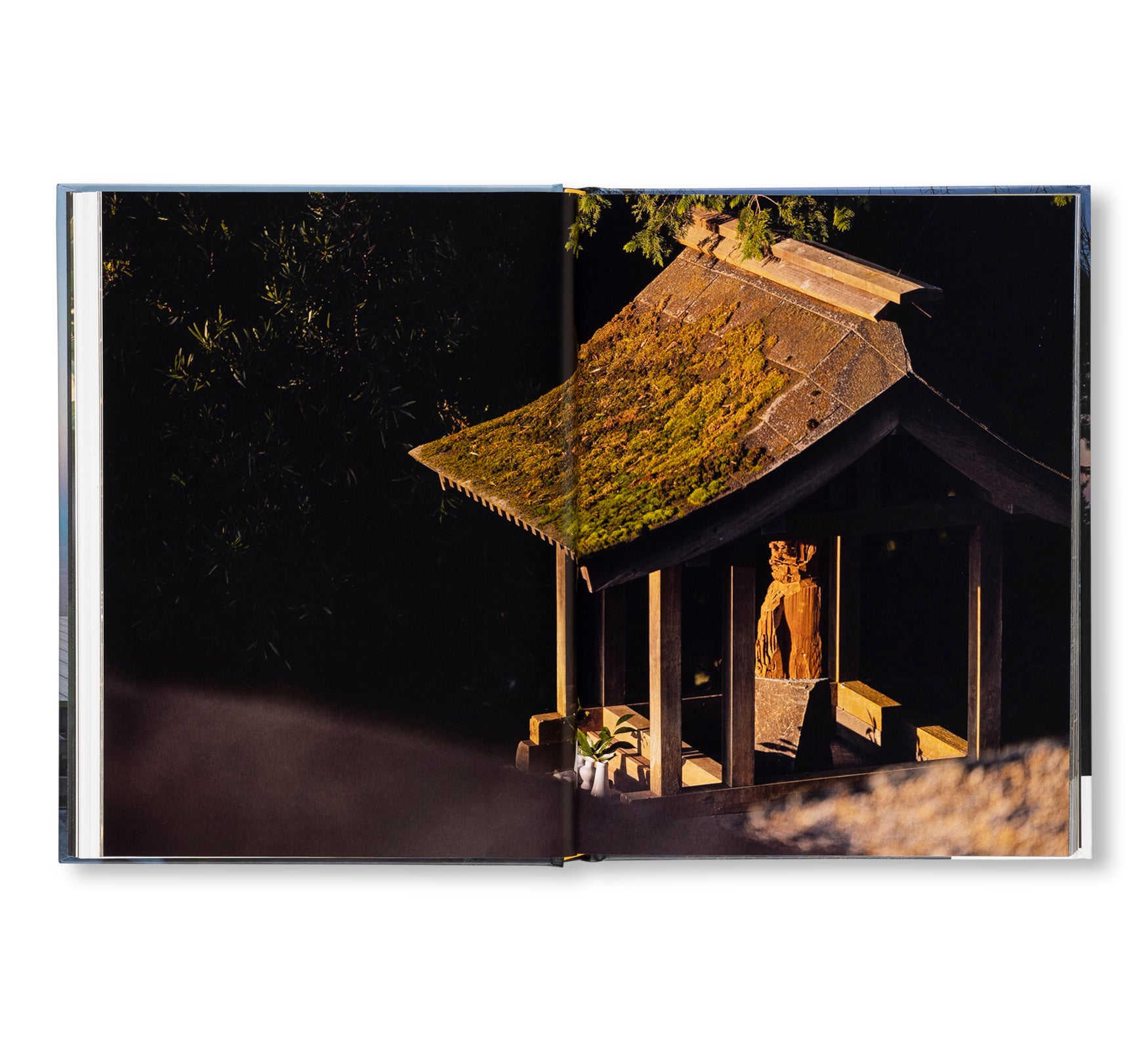 ENOURA OBSERVATORY: LAND OF DISTANT MEMORIES by Hiroshi Sugimoto