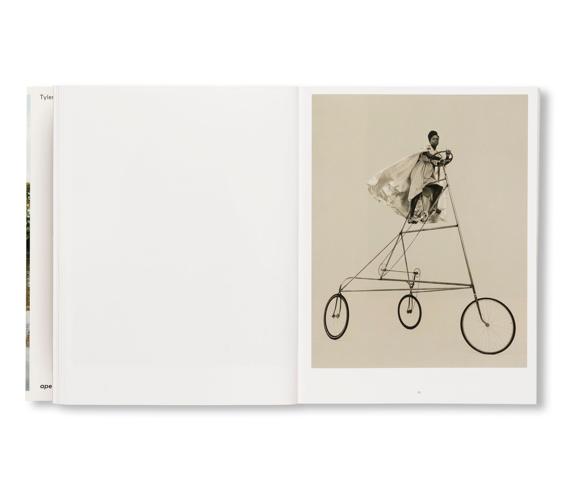 WISH THIS WAS REAL by Tyler Mitchell