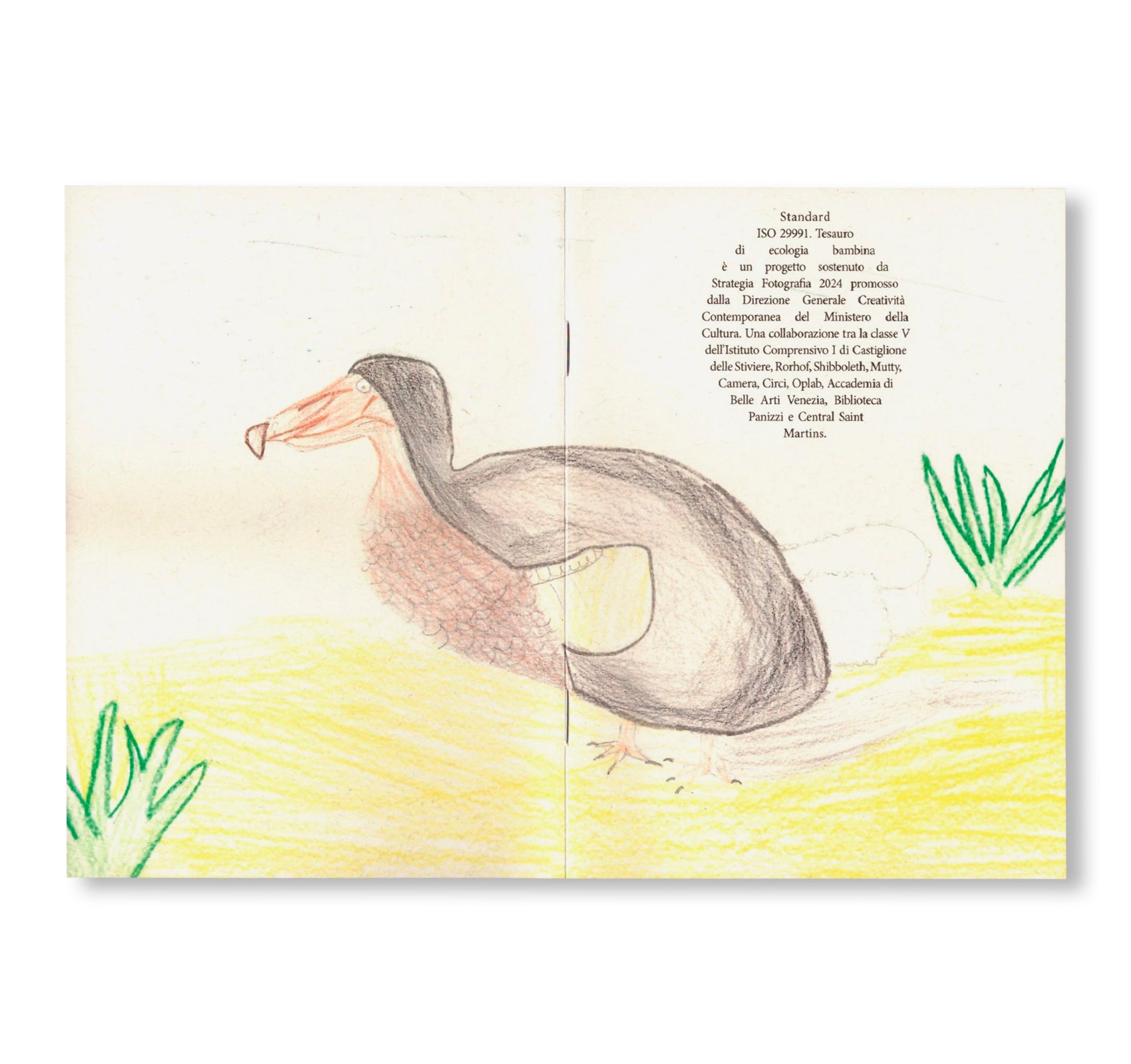 DODO NOTEBOOKS