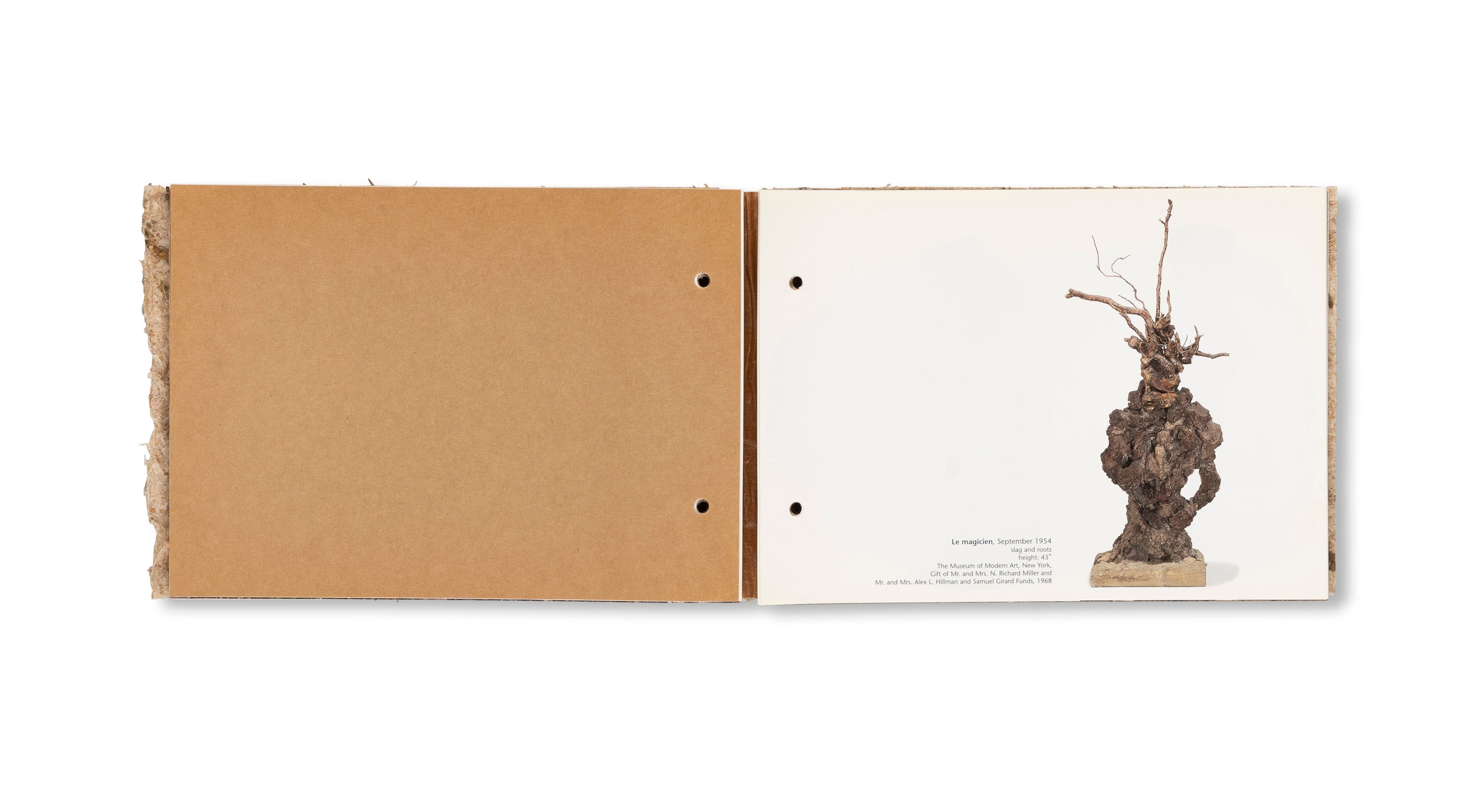 THE RADIANT EARTH by Jean Dubuffet [COVER B]