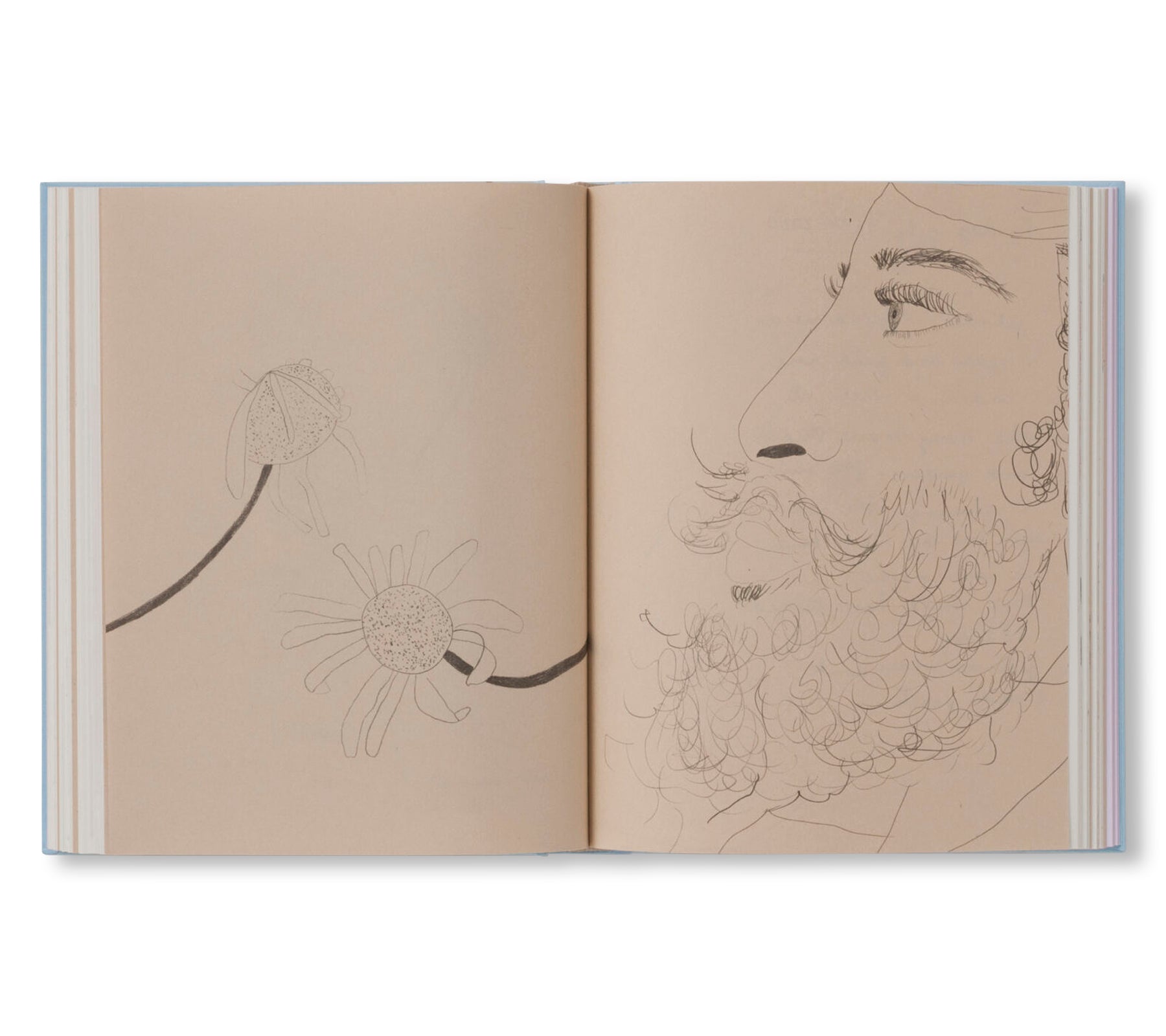 CARNETS by Johanna Tagada