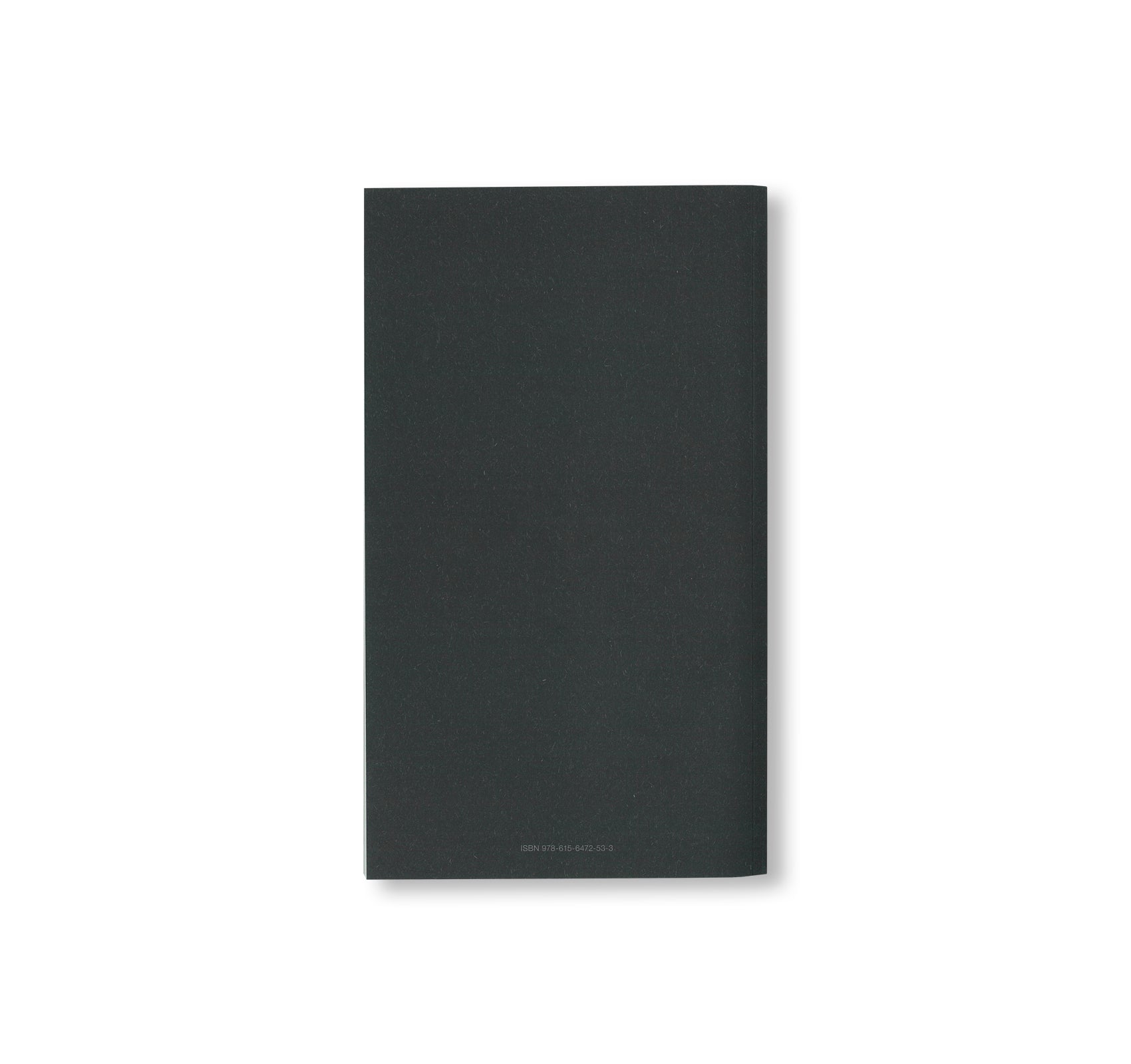 WINTER DRAWINGS by Peter Liversidge