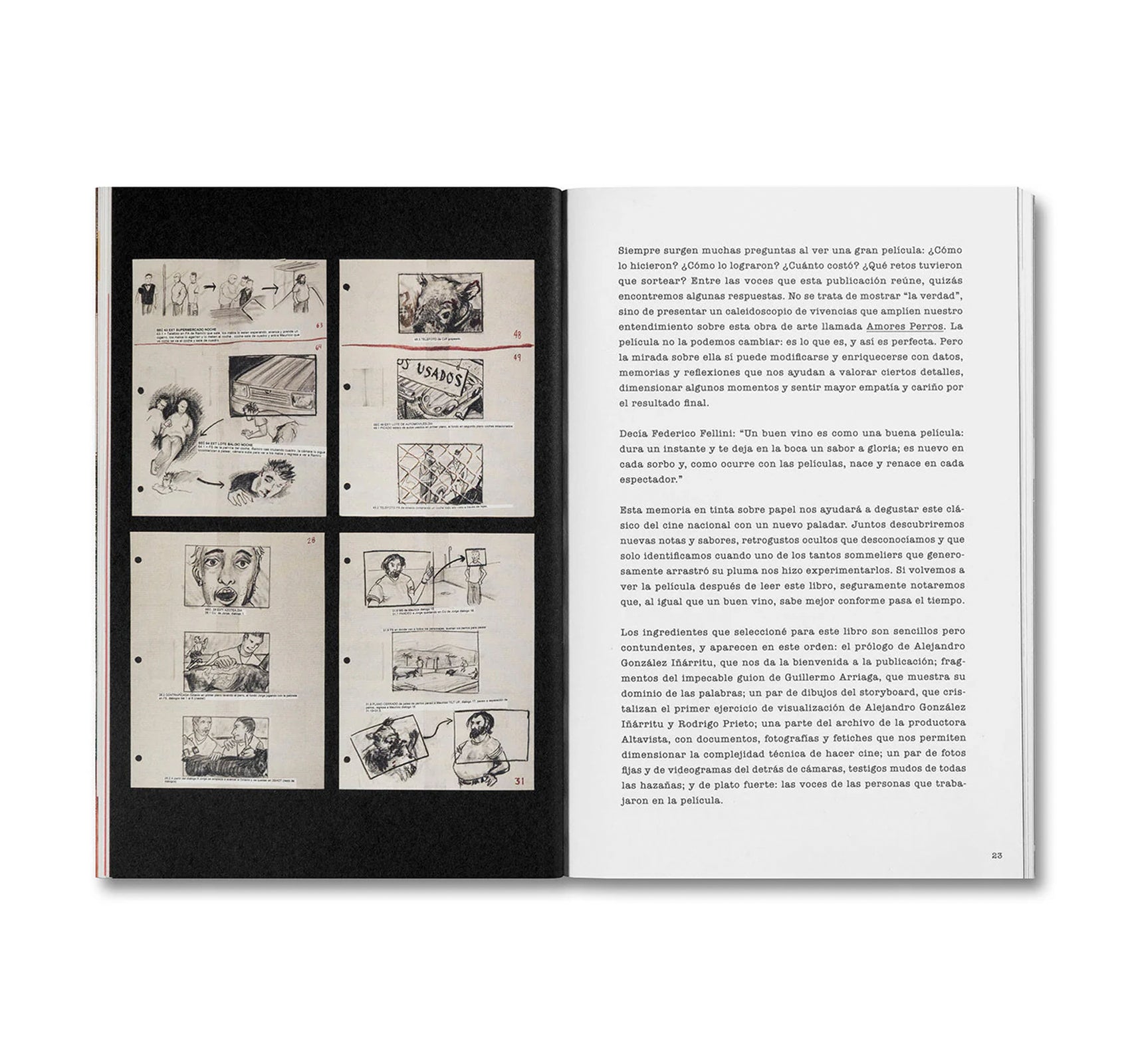 DESATAR AMORES PERROS by Fernando Llanos [SPANISH EDITION]