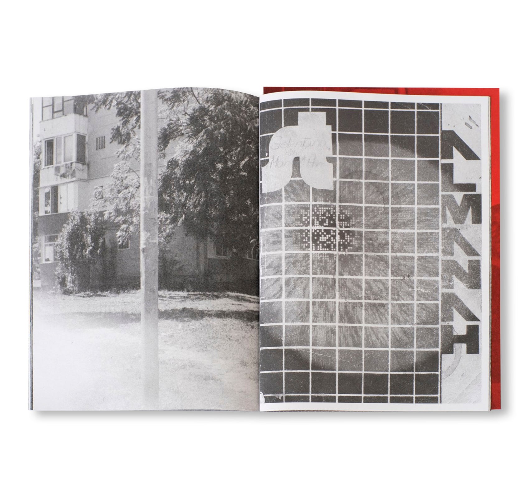 DUMITRU by Michel Mazzoni [SIGNED]
