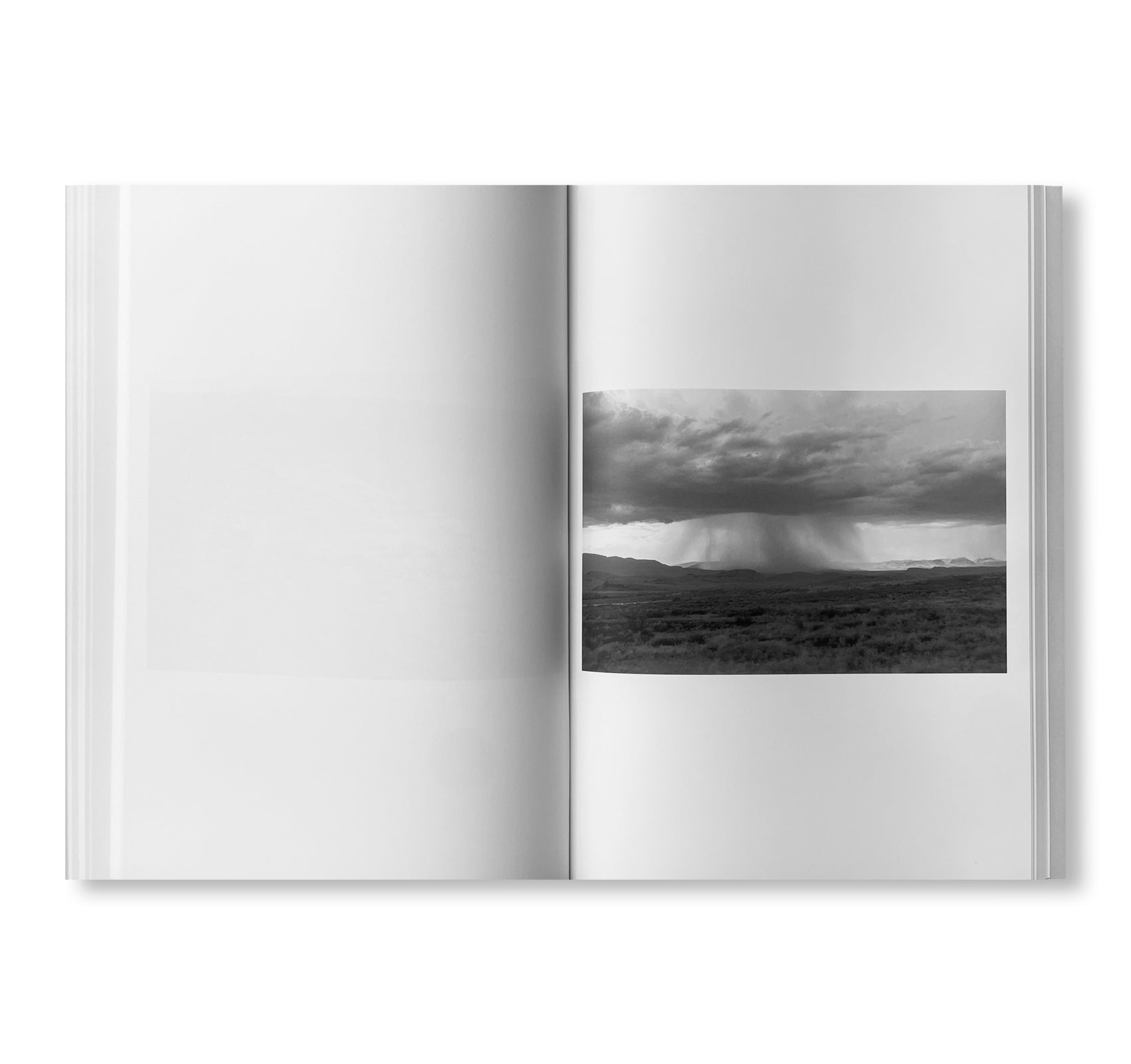 WESTTEXASPSYCHOSCULPTURE by Christopher Wool [SIGNED]