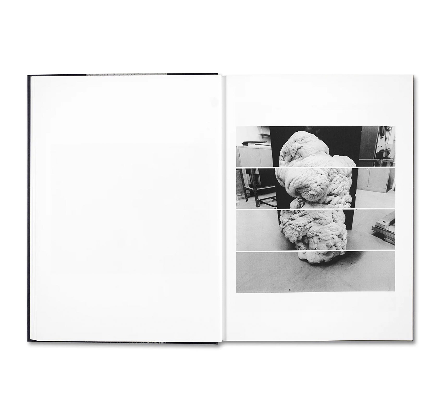 EVIDENCE by James White