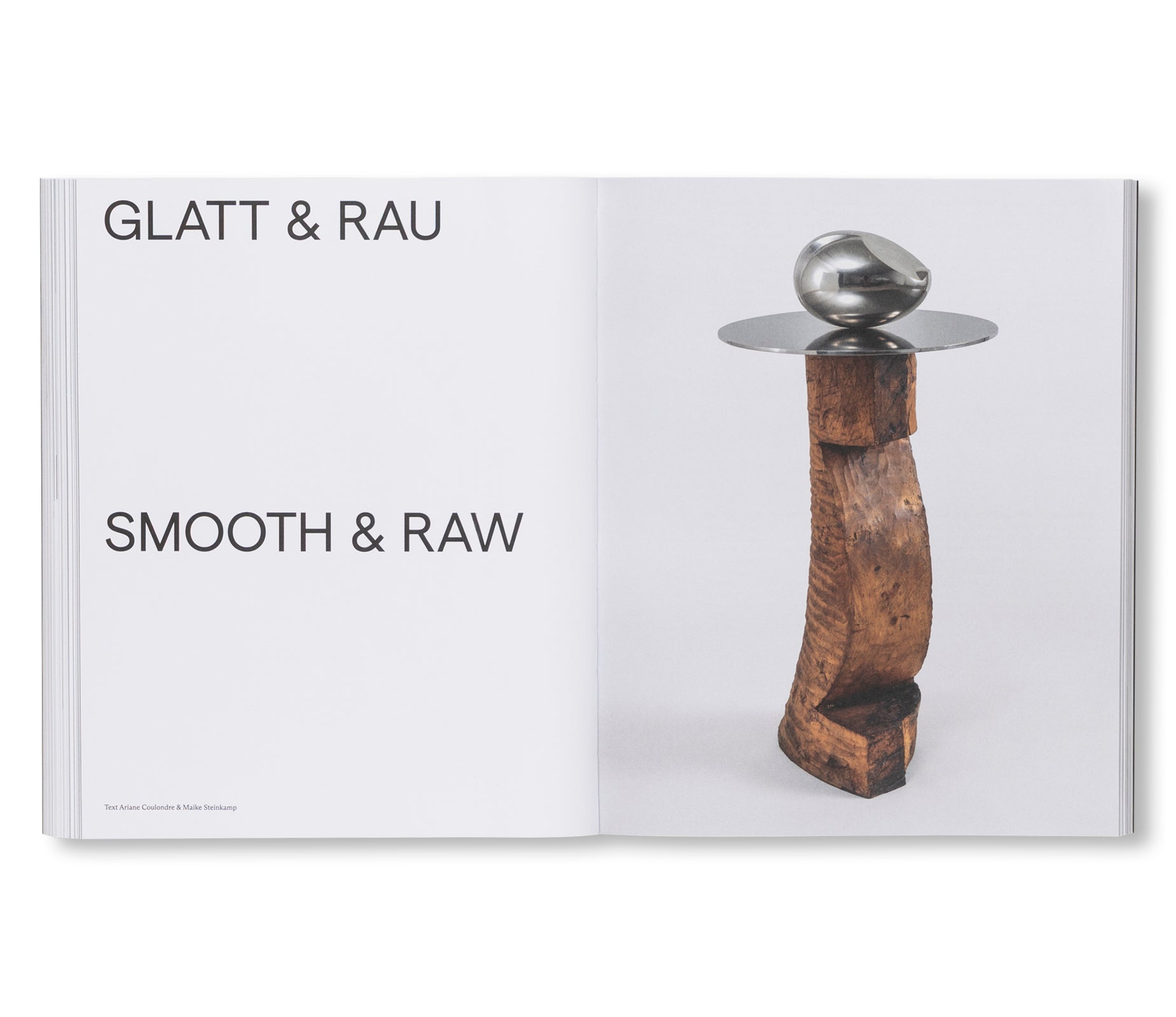 BRANCUSI by Constantin Brancusi